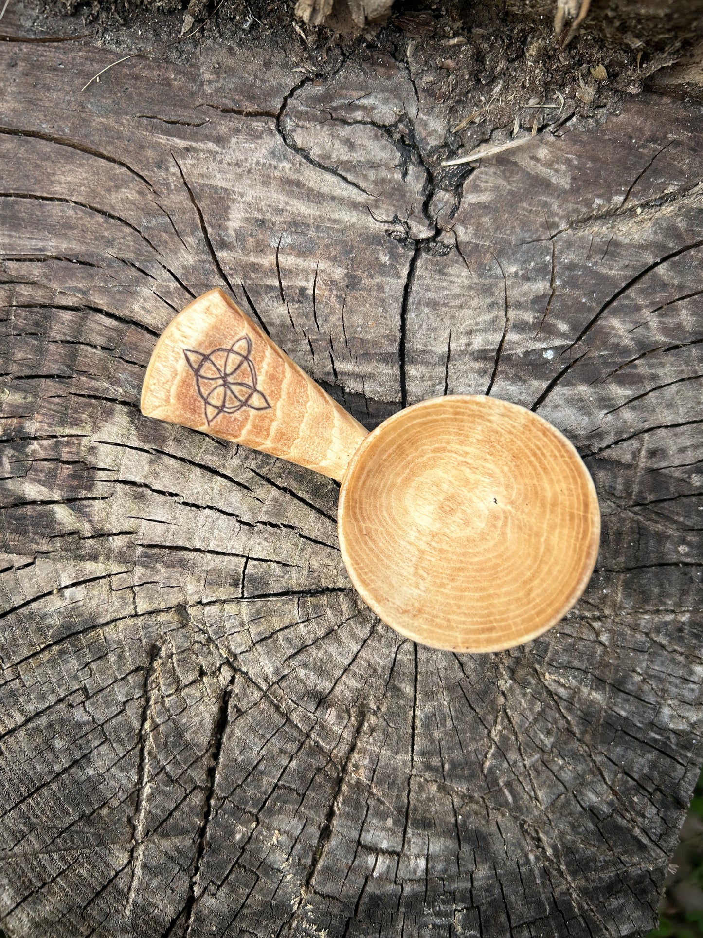 Celtic Caddy Spoon ~ Hexefus ~ Beech Wood