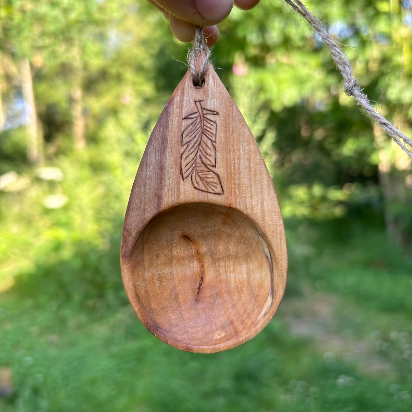 Coffee Scoop ~ Silver Birch