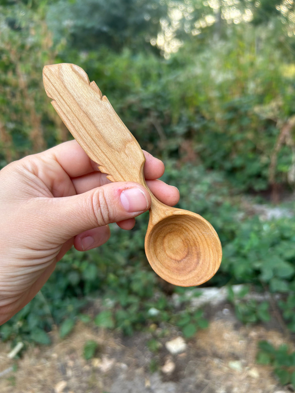 Flight ~ Feather Coffee Scoop ~ Cherry Wood