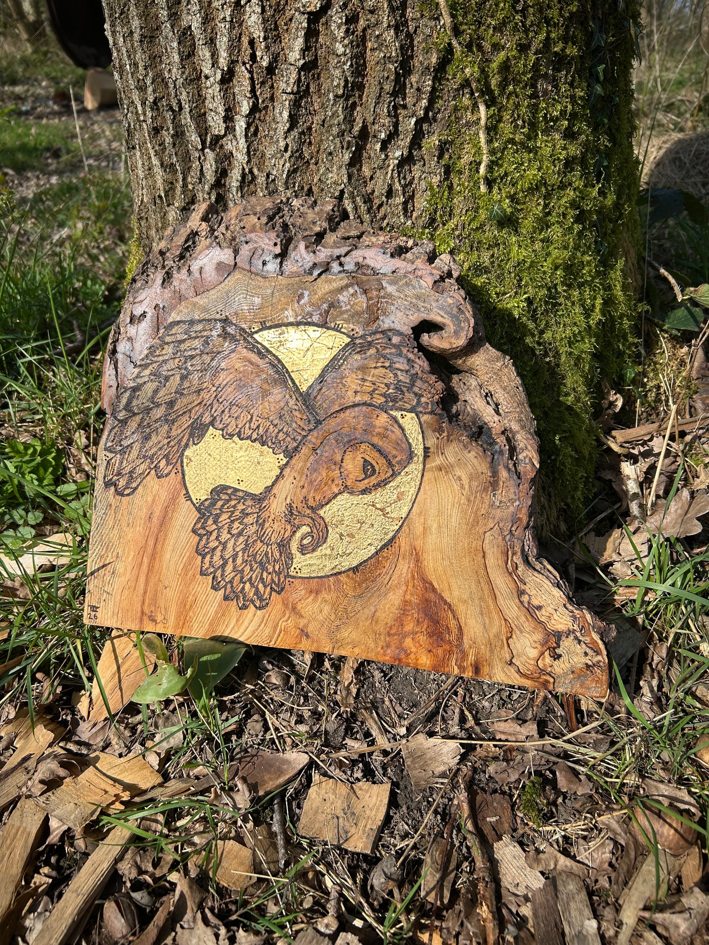 Barn Owl Moon Magic ~ Wall Hanging ~ Spalted Ash