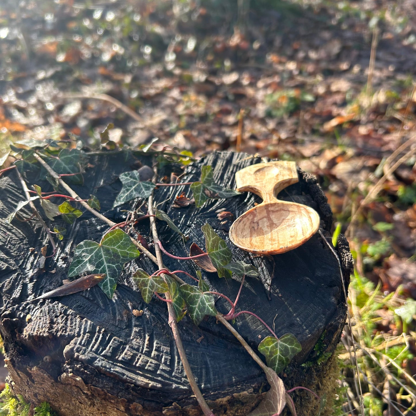 ~ Circles ~ Small Caddy Spoon ~ Spalted Beech
