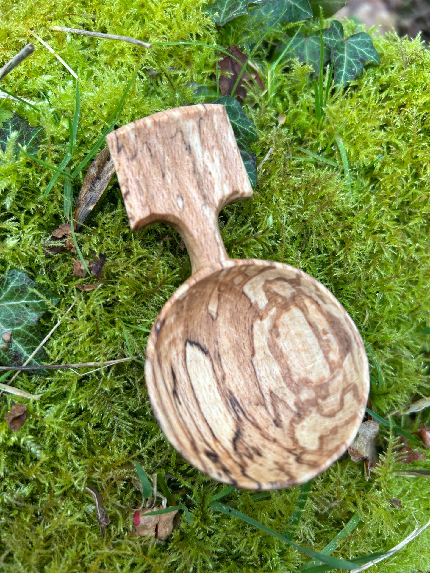 Fawn ~ Scoop ~ Spalted Beech