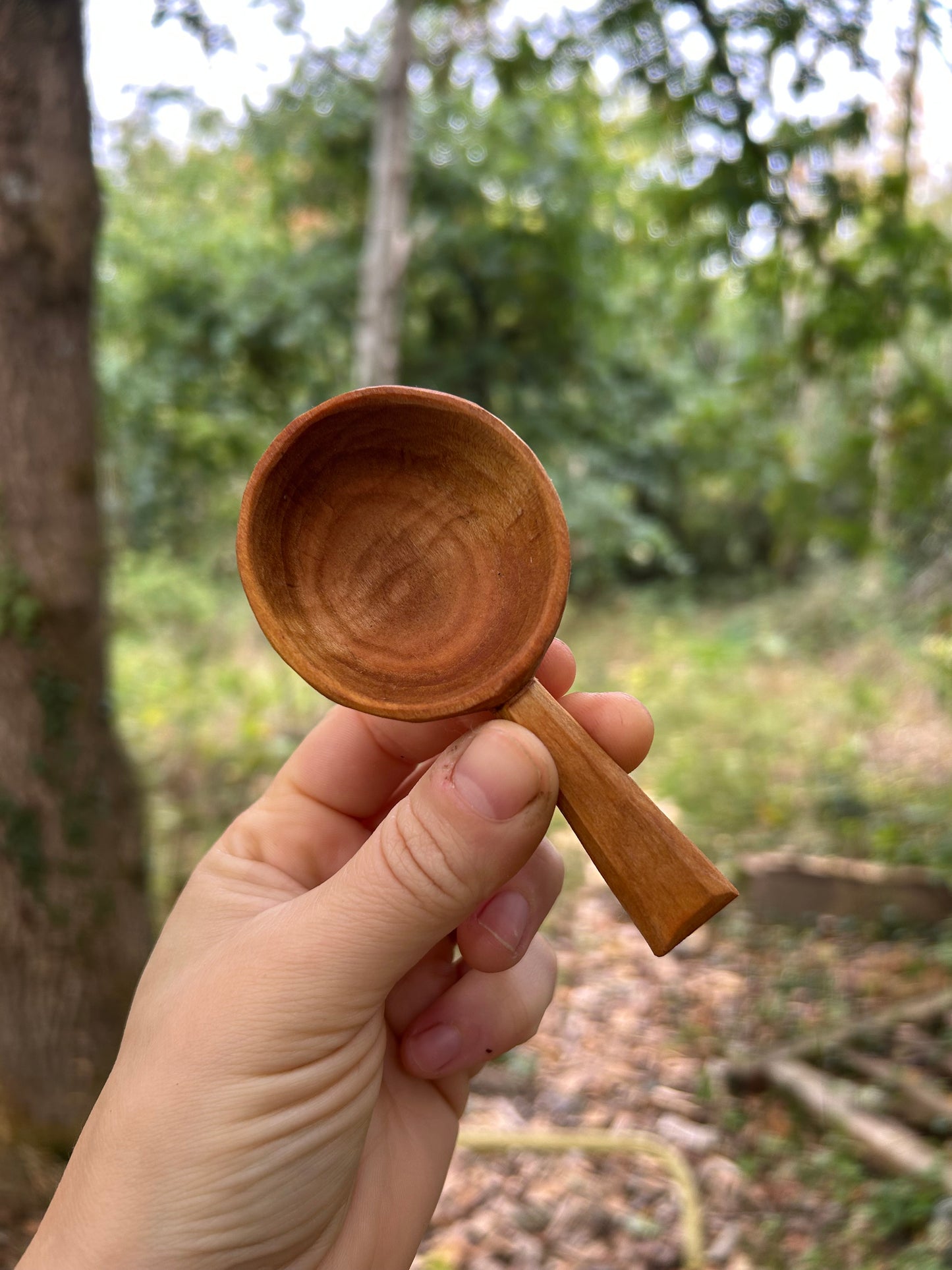 ~ Circles ~ Coffee Scoop ~ Cherry