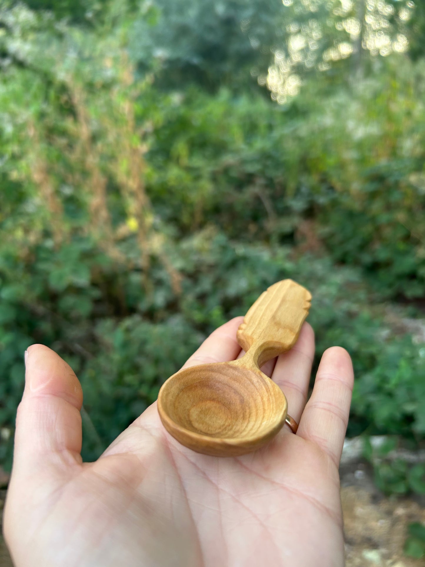 Flight ~ Feather Coffee Scoop ~ Cherry Wood