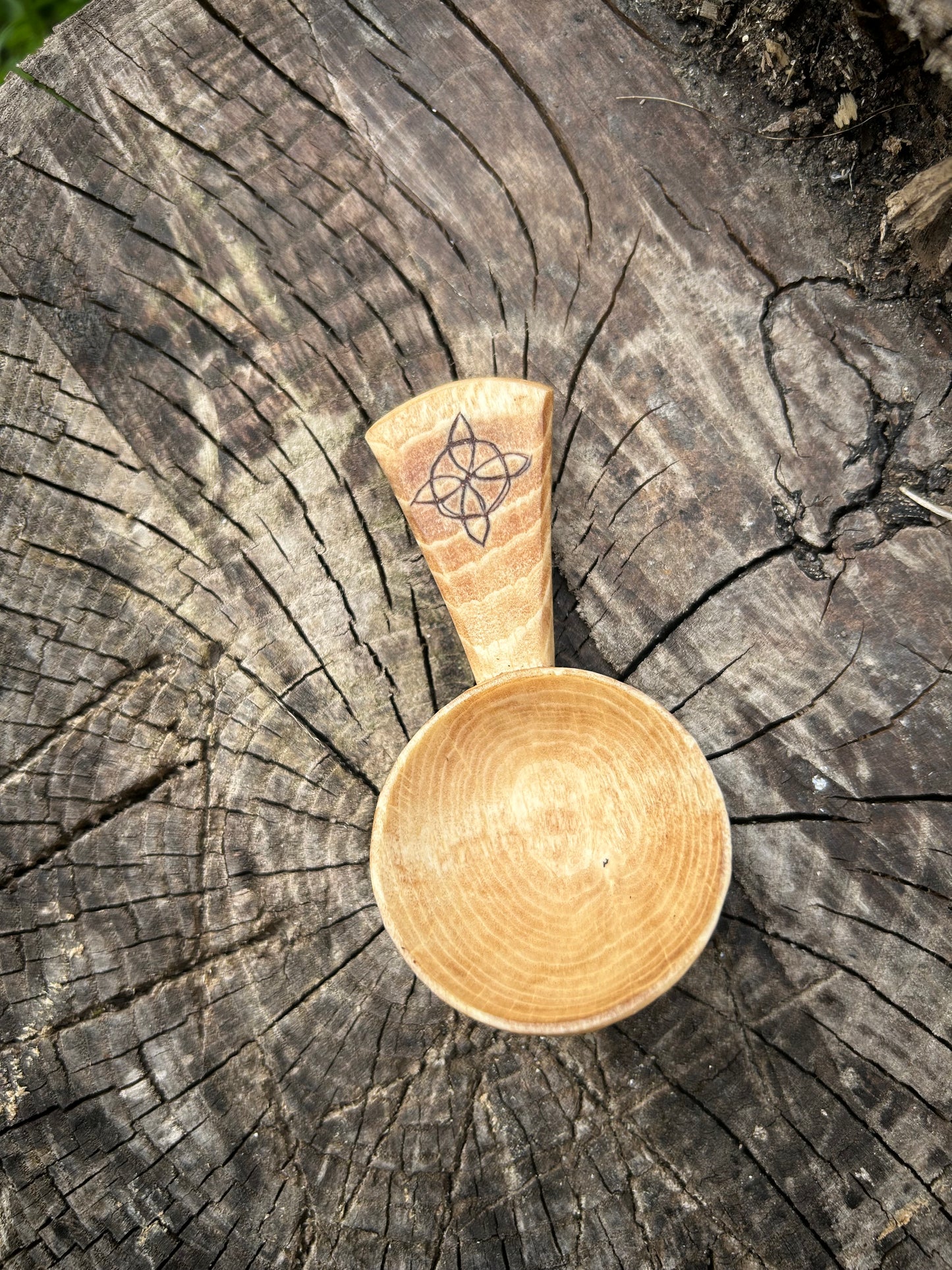 Celtic Caddy Spoon ~ Hexefus ~ Beech Wood