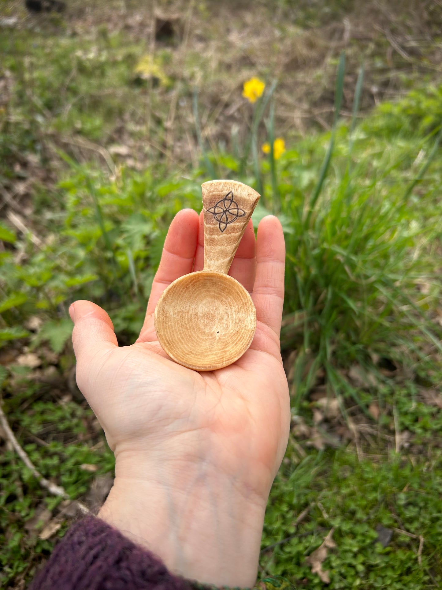 Celtic Caddy Spoon ~ Hexefus ~ Beech Wood
