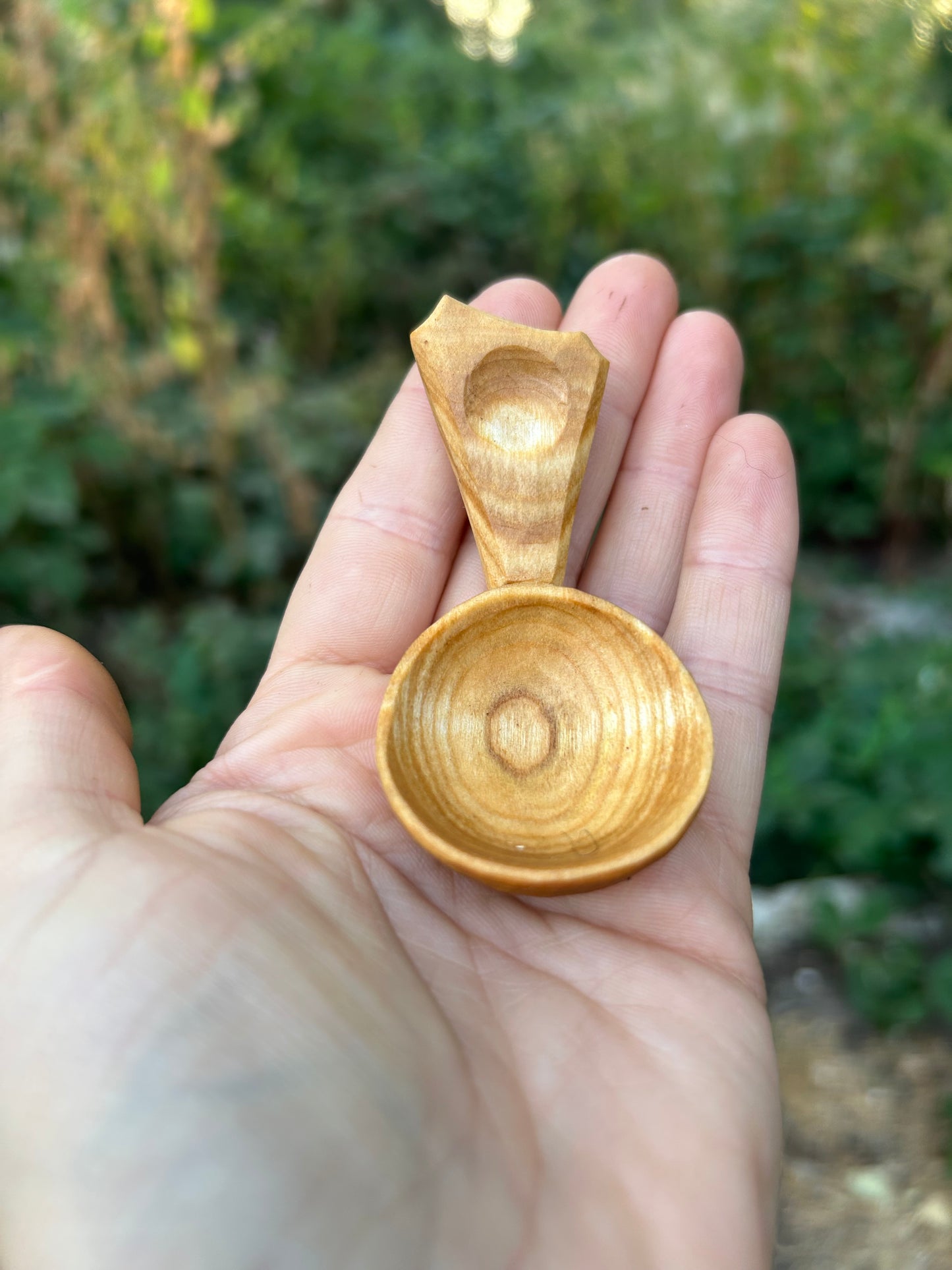Circles ~ Caddy Spoon ~ Cherry Wood