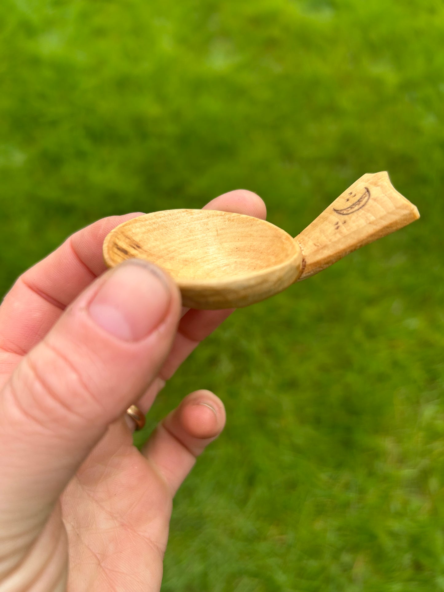 Moon and Sun ~ Set of Two Caddy Spoons