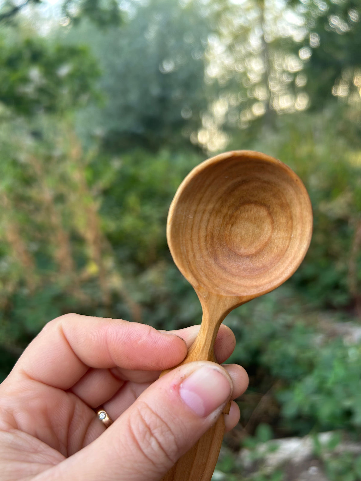 Flight ~ Feather Coffee Scoop ~ Cherry Wood