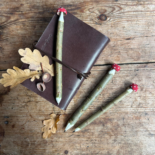 Magic Toadstool Pencils
