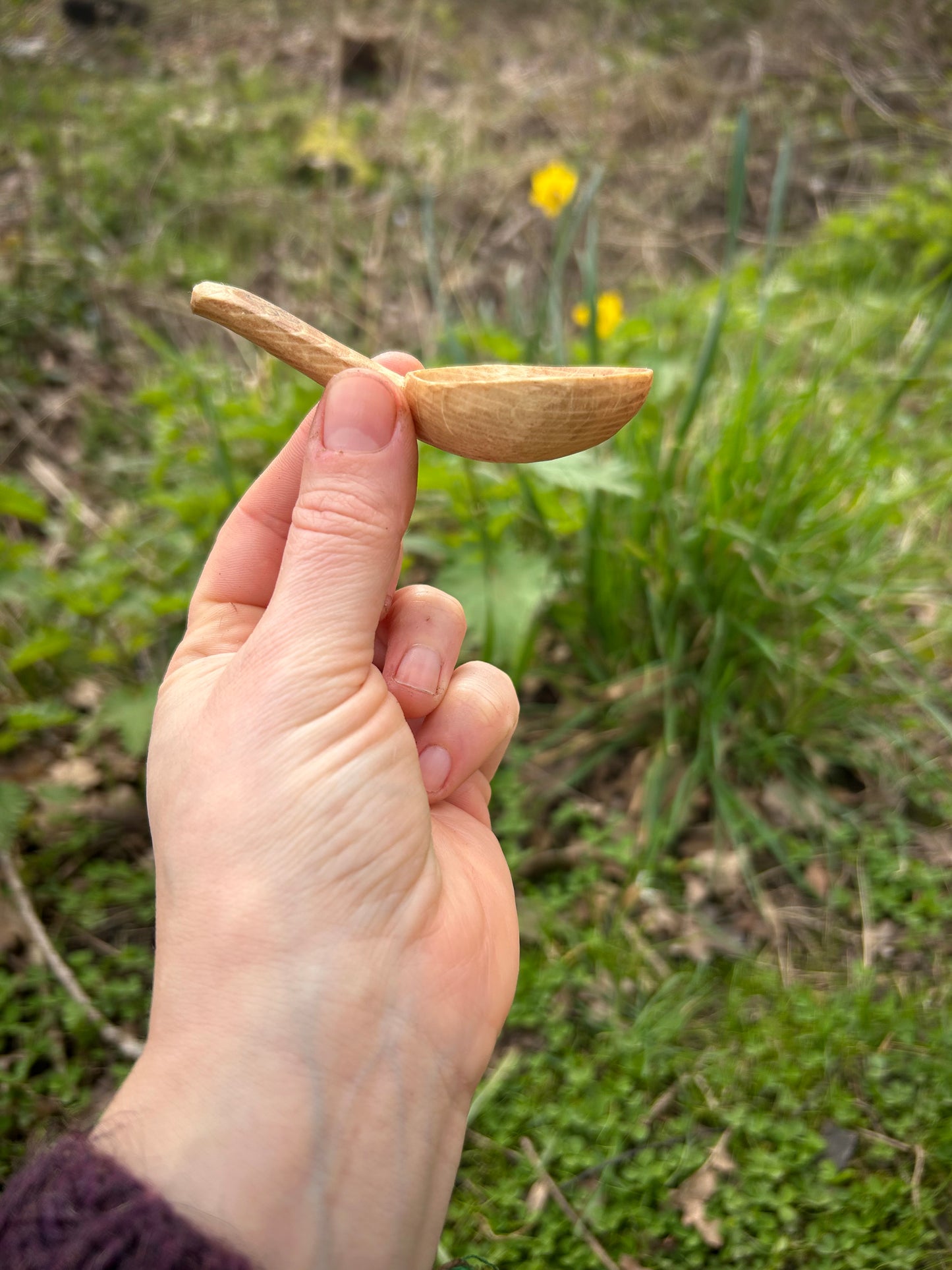 Celtic Caddy Spoon ~ Hexefus ~ Beech Wood