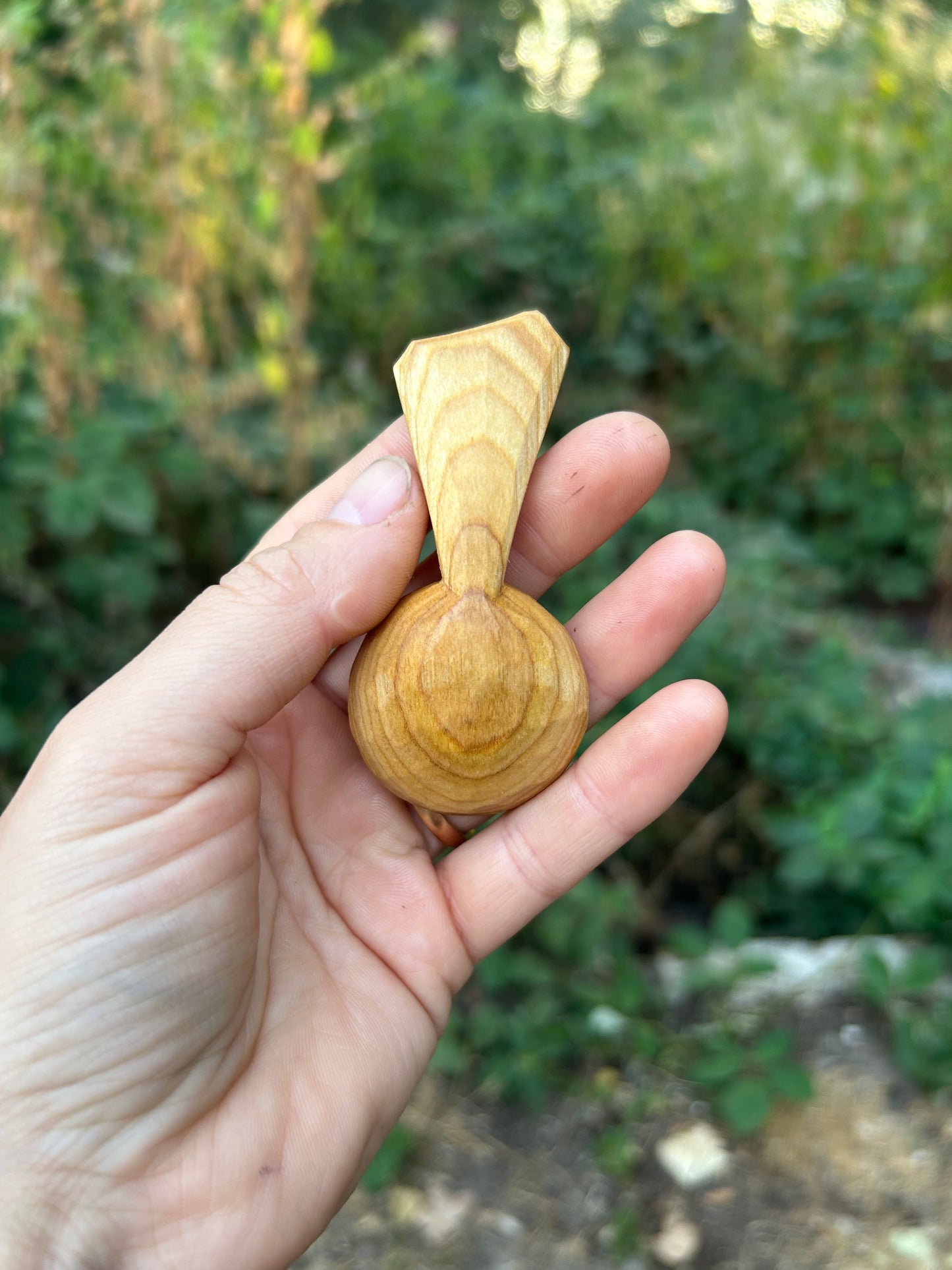 Circles ~ Caddy Spoon ~ Cherry Wood