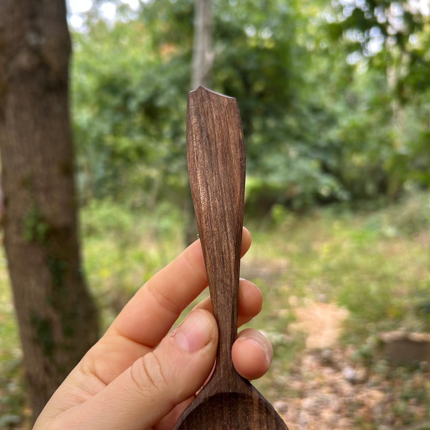 ~ Silky ~ Eating Spoon ~ Walnut
