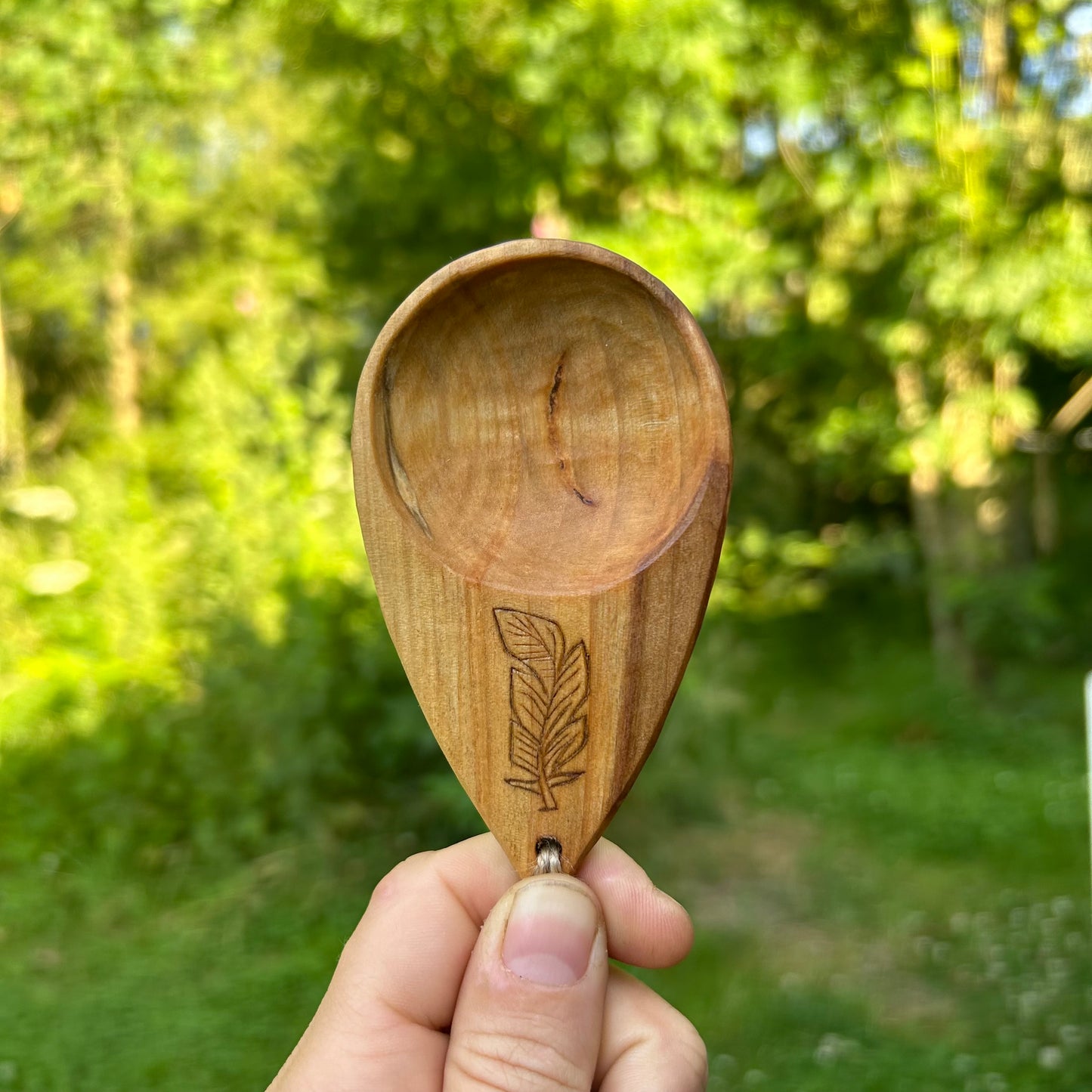 Coffee Scoop ~ Silver Birch