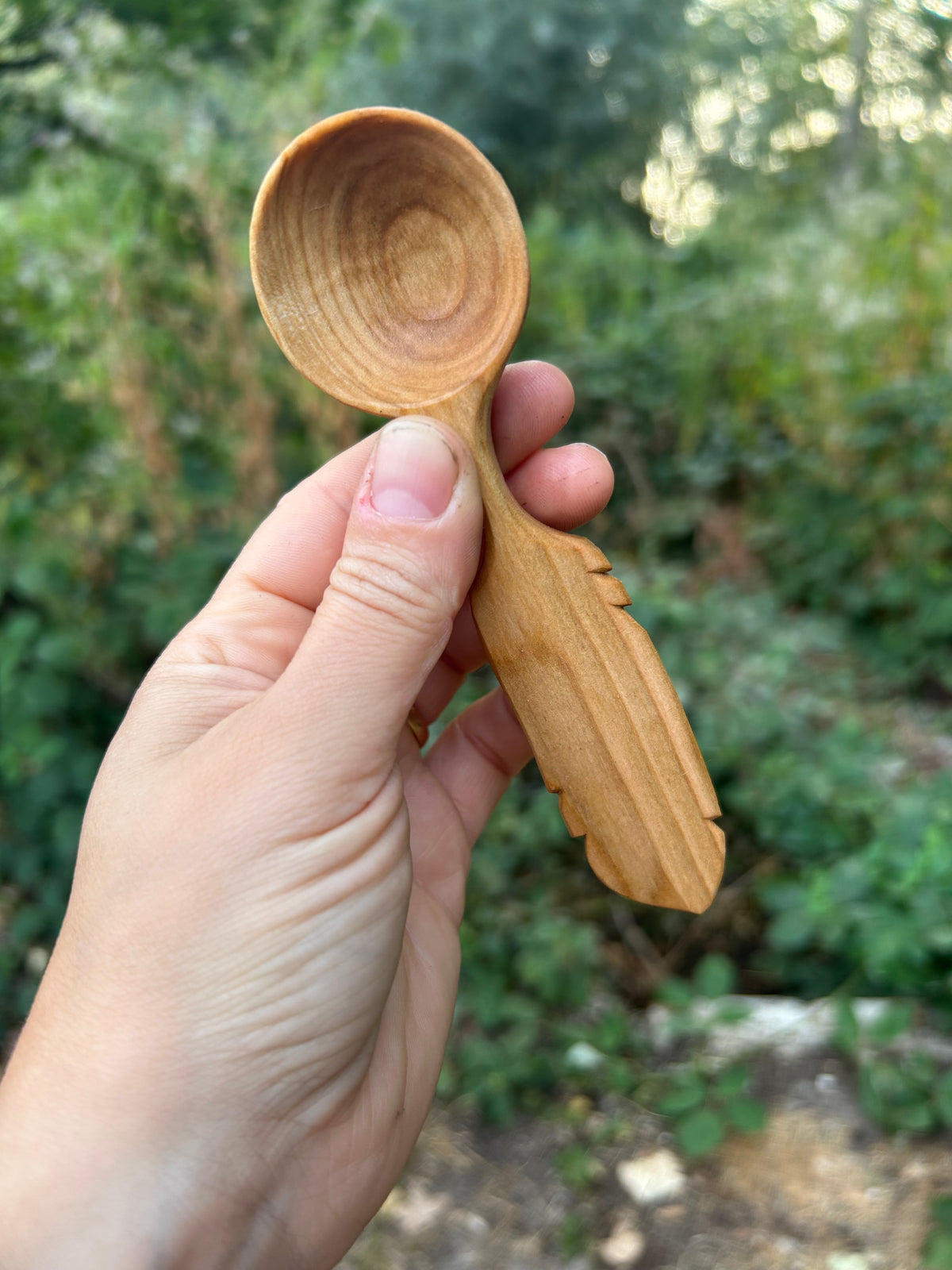 Flight ~ Feather Coffee Scoop ~ Cherry Wood