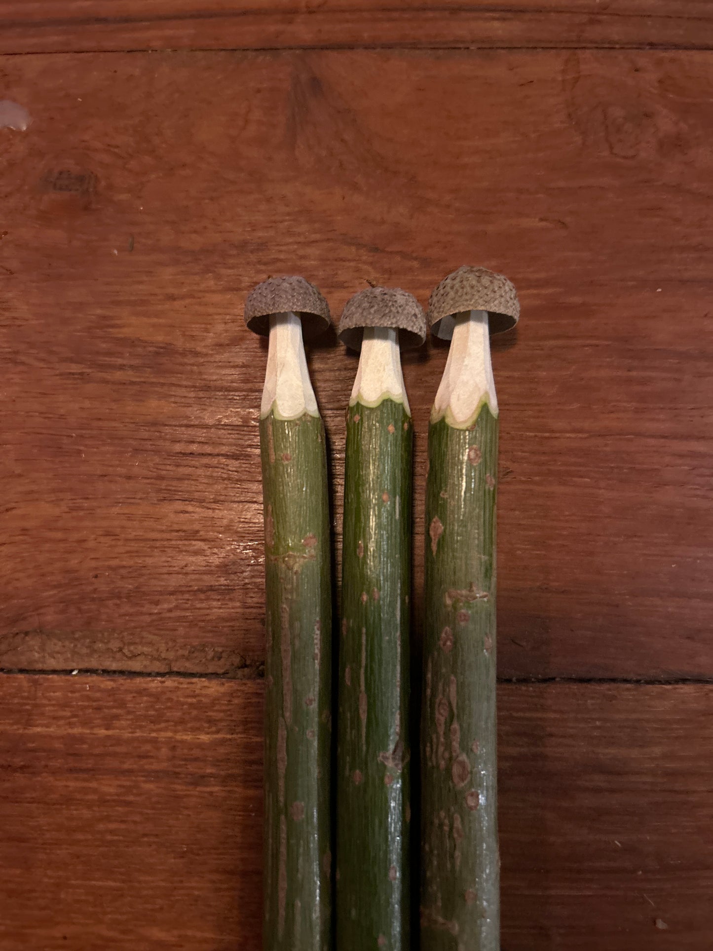 Magic Toadstool Pencils