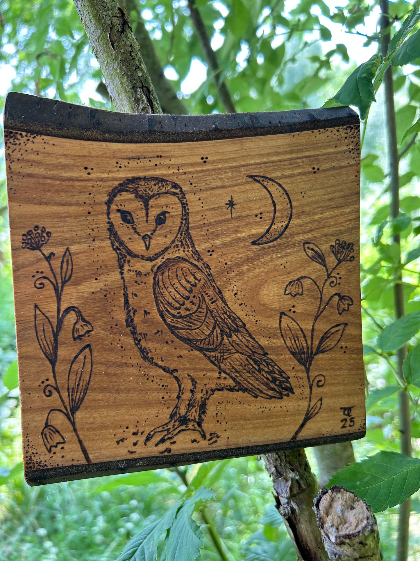 Mystic Barn Owl ~ Cherry Wood Wall Hanging