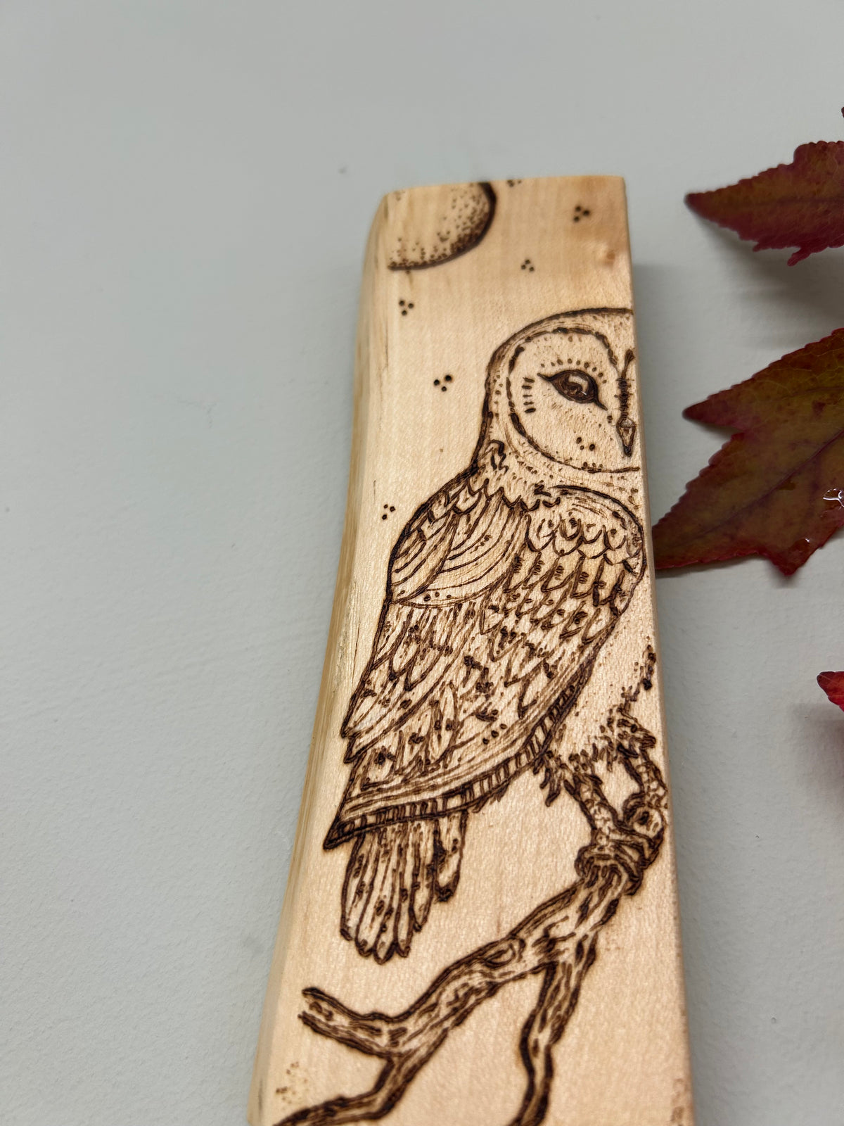 Barn Owl ~ Pyrography Mini Artwork