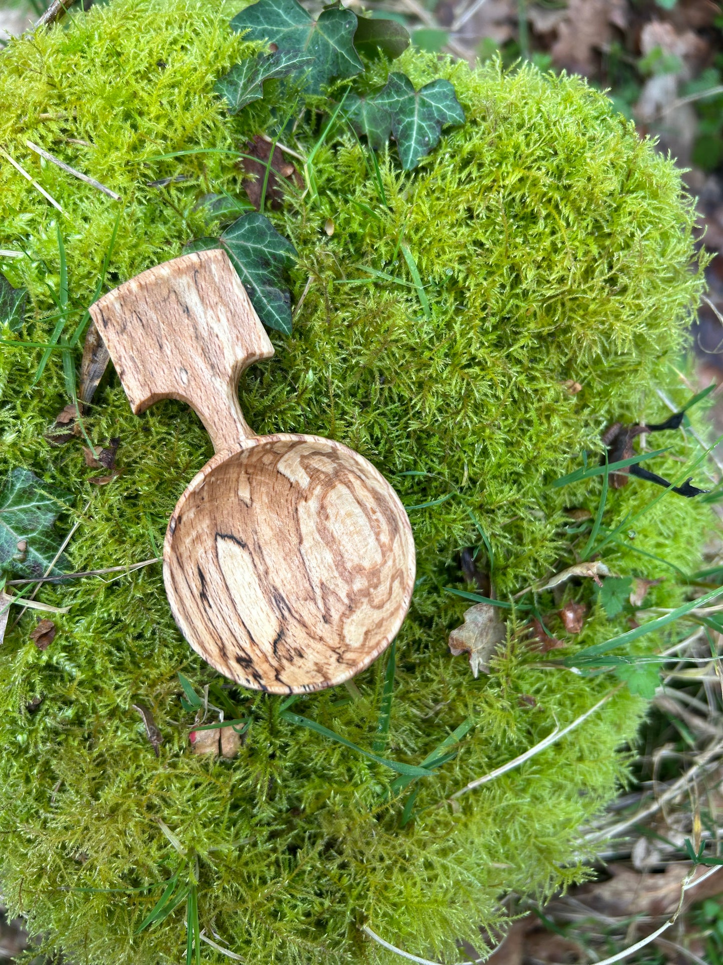 Fawn ~ Scoop ~ Spalted Beech