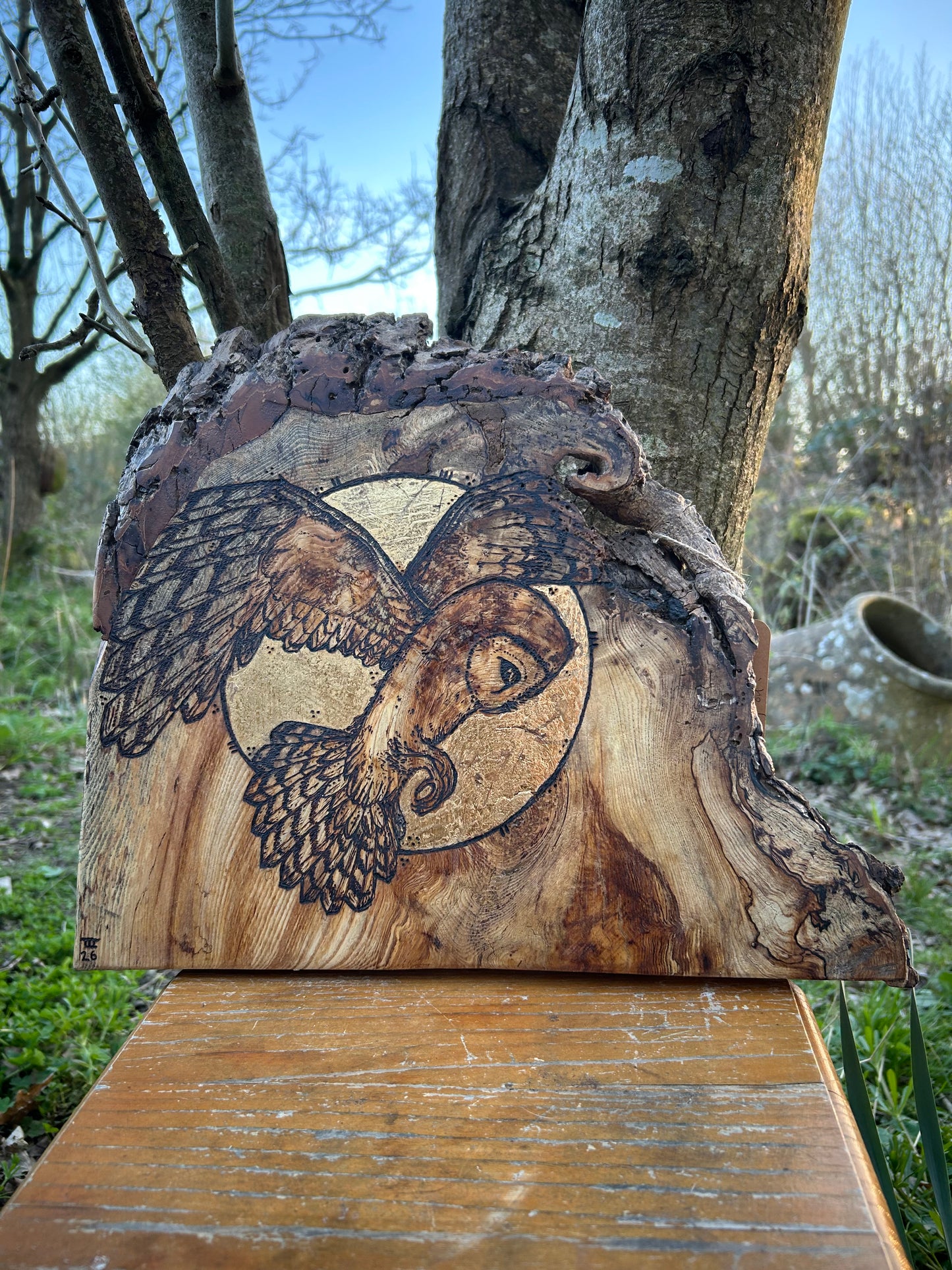 Barn Owl Moon Magic ~ Wall Hanging ~ Spalted Ash