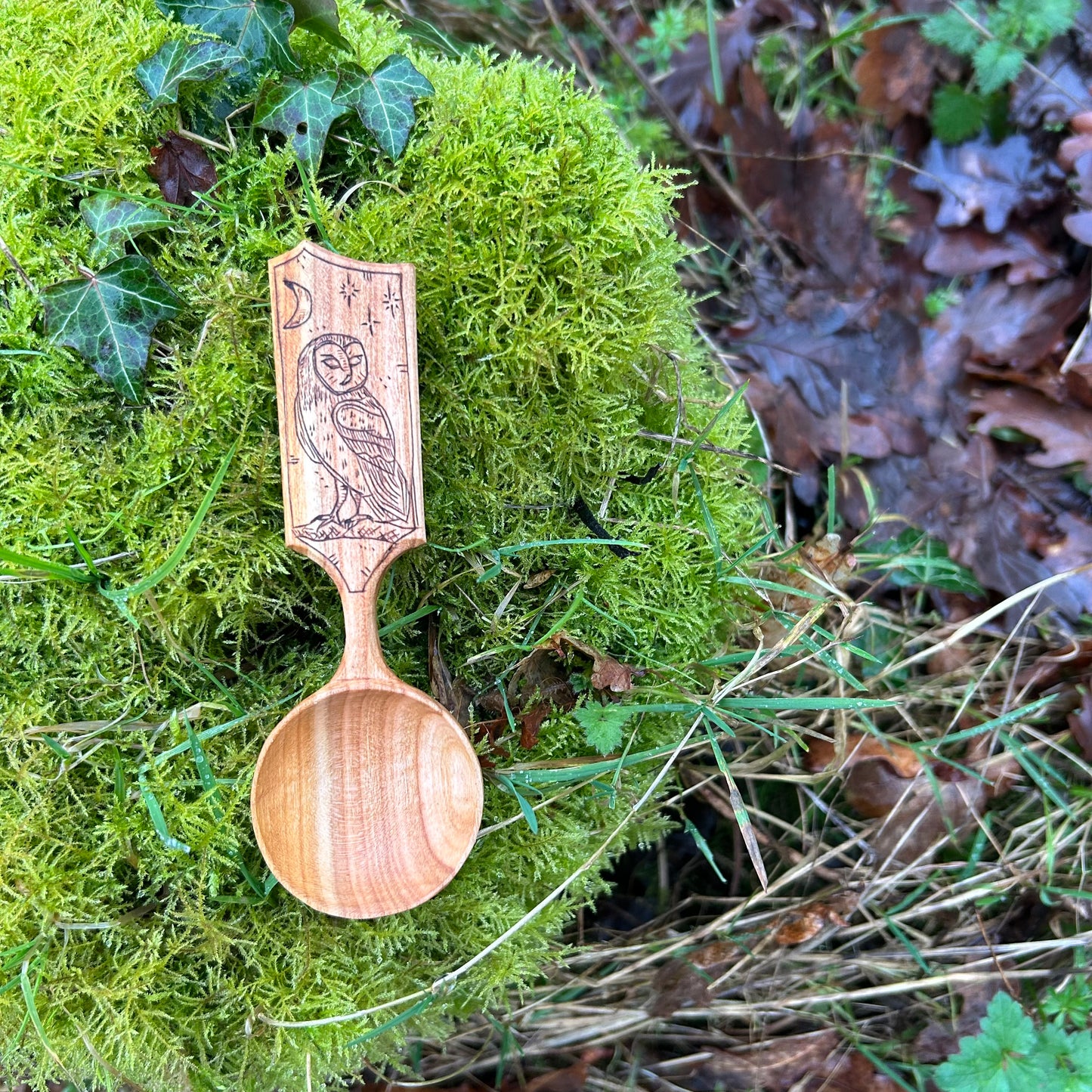 Moonlit Barn Owl ~ Scoop ~ Cherry Wood