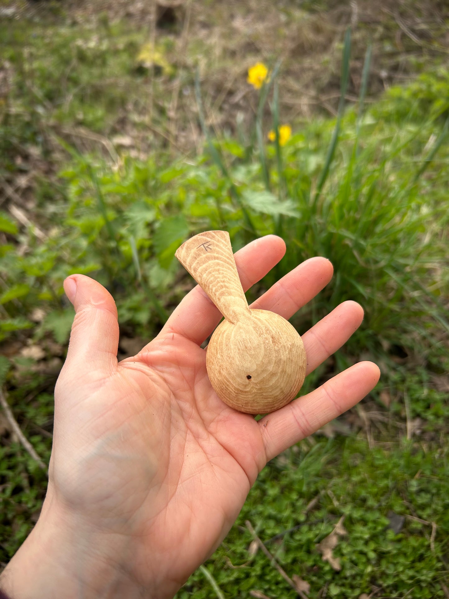 Celtic Caddy Spoon ~ Hexefus ~ Beech Wood