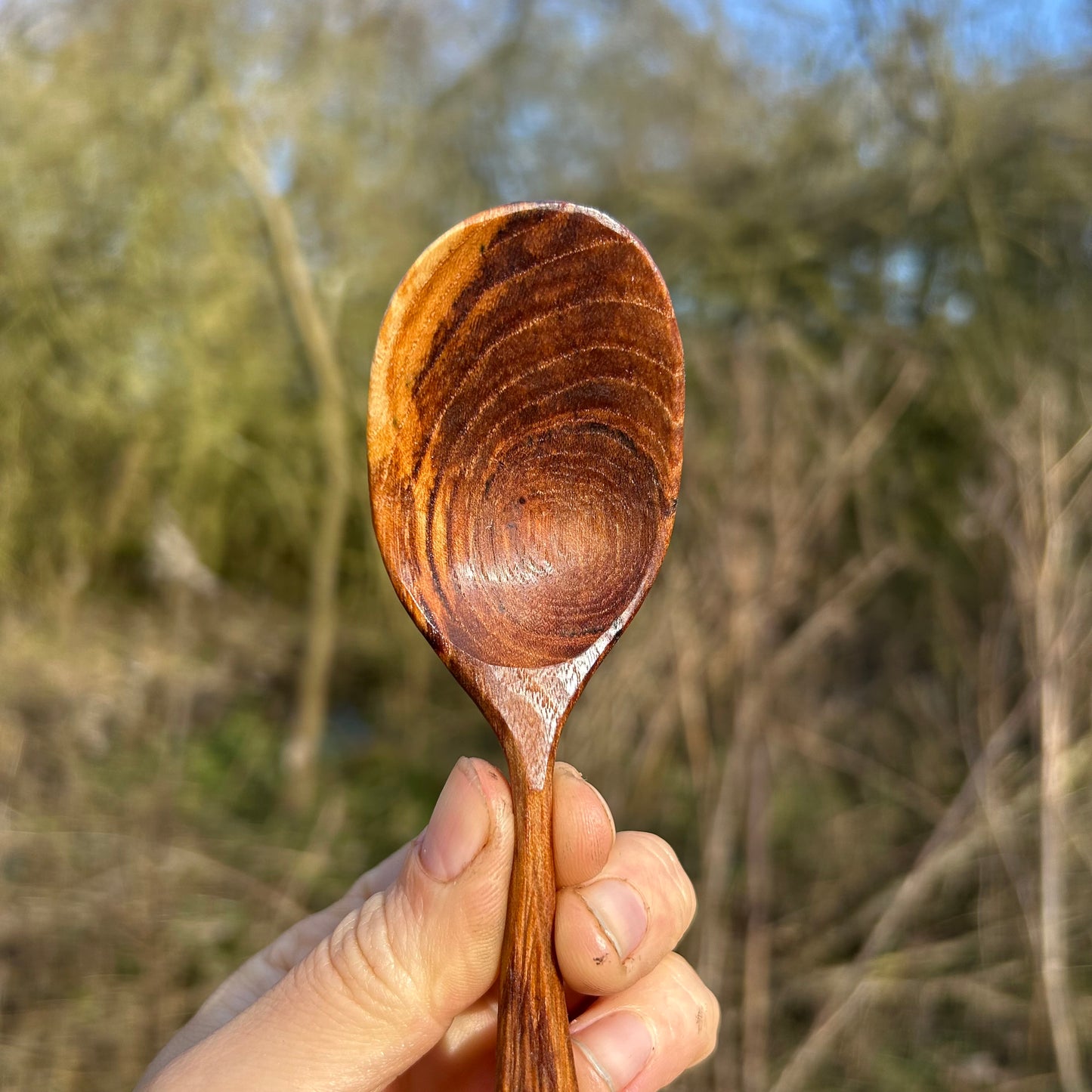 TEXTURE ~ English Elm ~ Eating Spoon