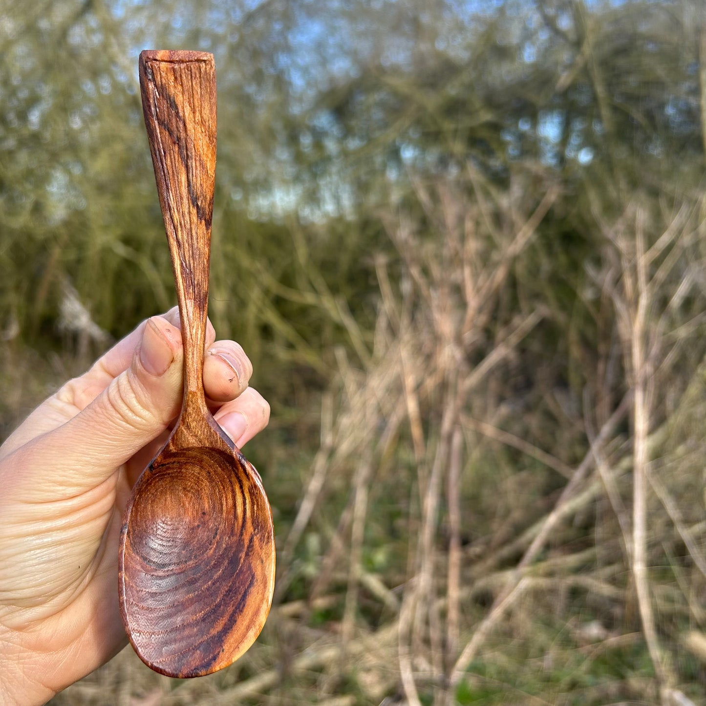 TEXTURE ~ English Elm ~ Eating Spoon