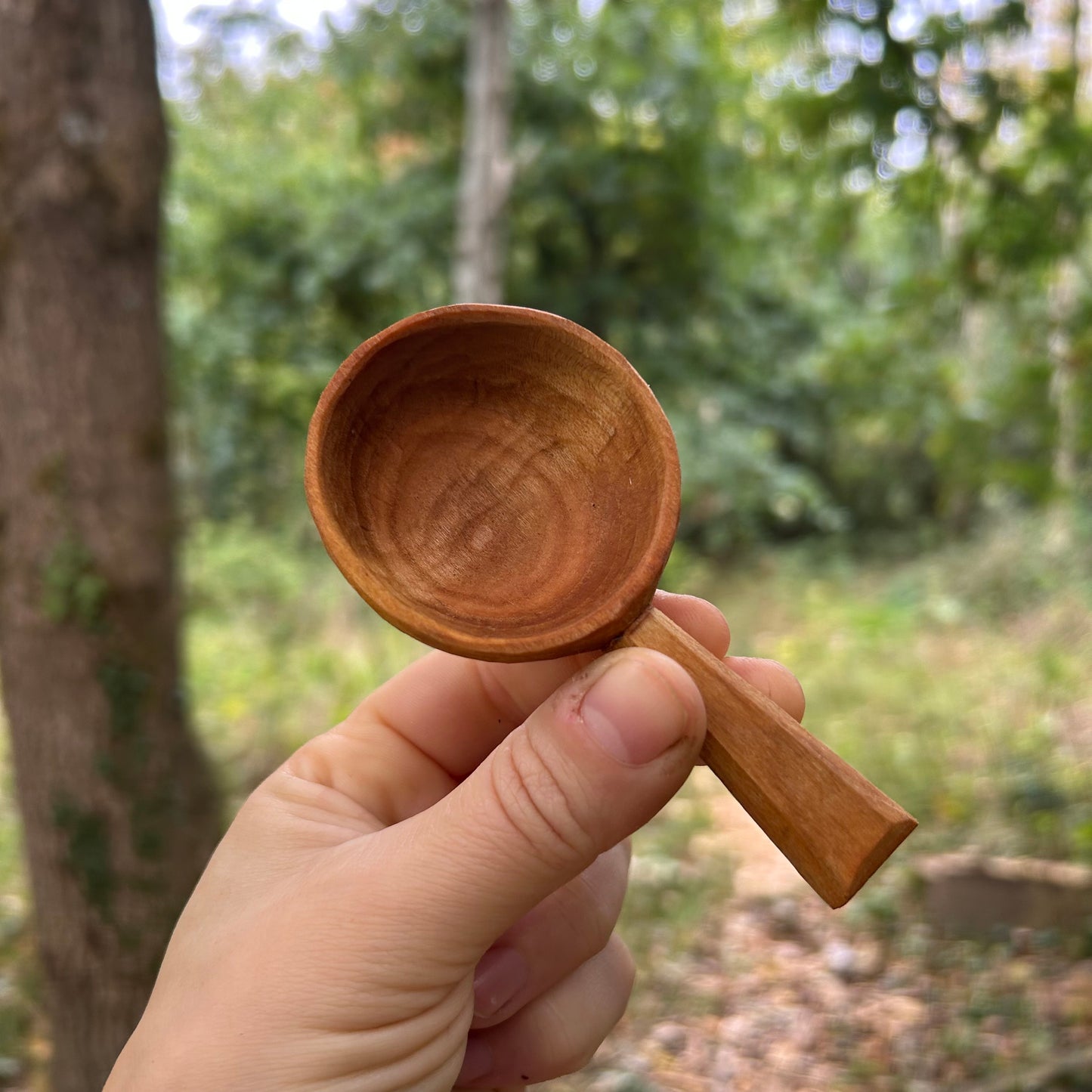 ~ Circles ~ Coffee Scoop ~ Cherry