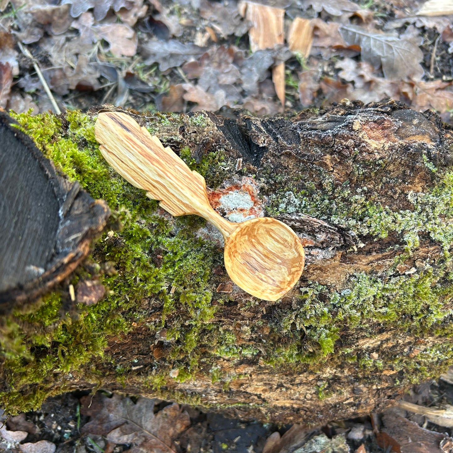 A-symmetrical Feather Scoop ~ Spalted Beech