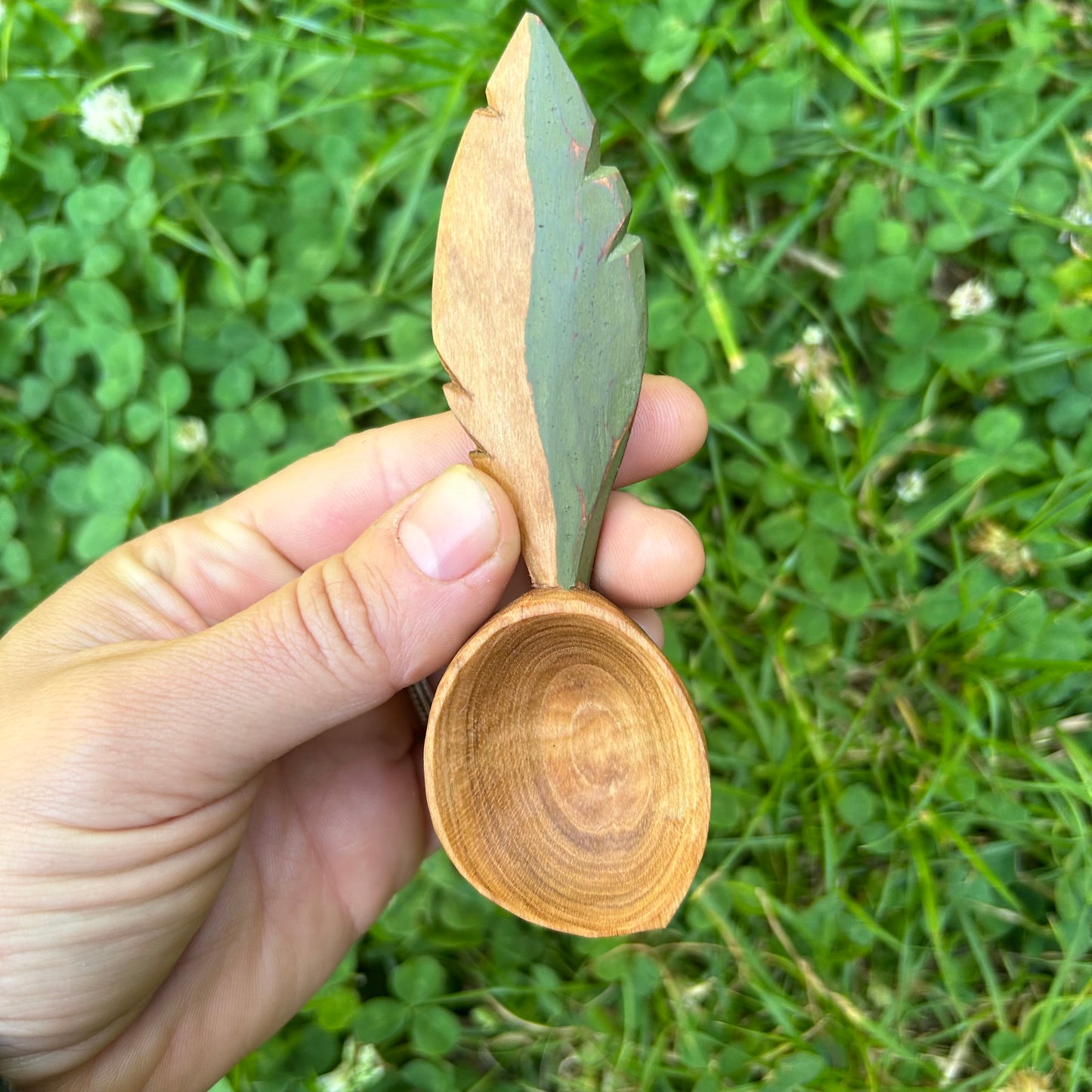 Green Feather Coffee Scoop - Cherry