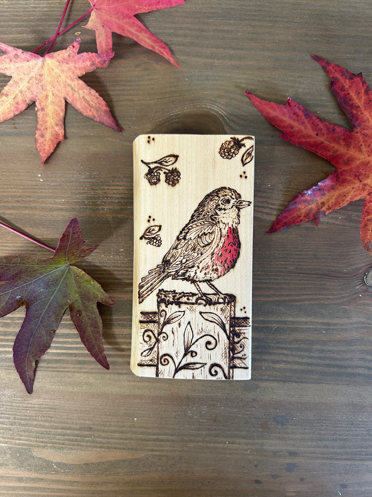 Robin Redbreast ~ Mini Pyrography Artwork