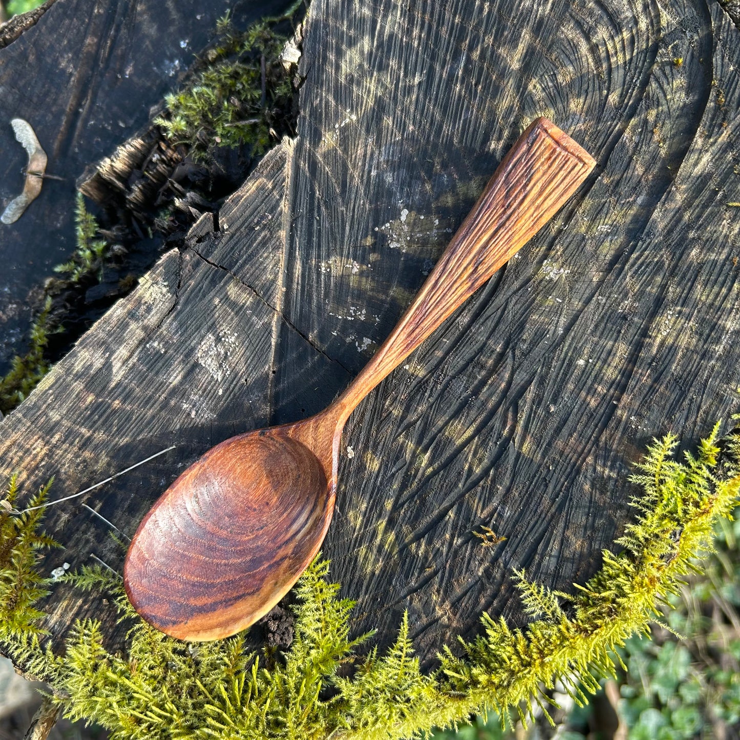 TEXTURE ~ English Elm ~ Eating Spoon