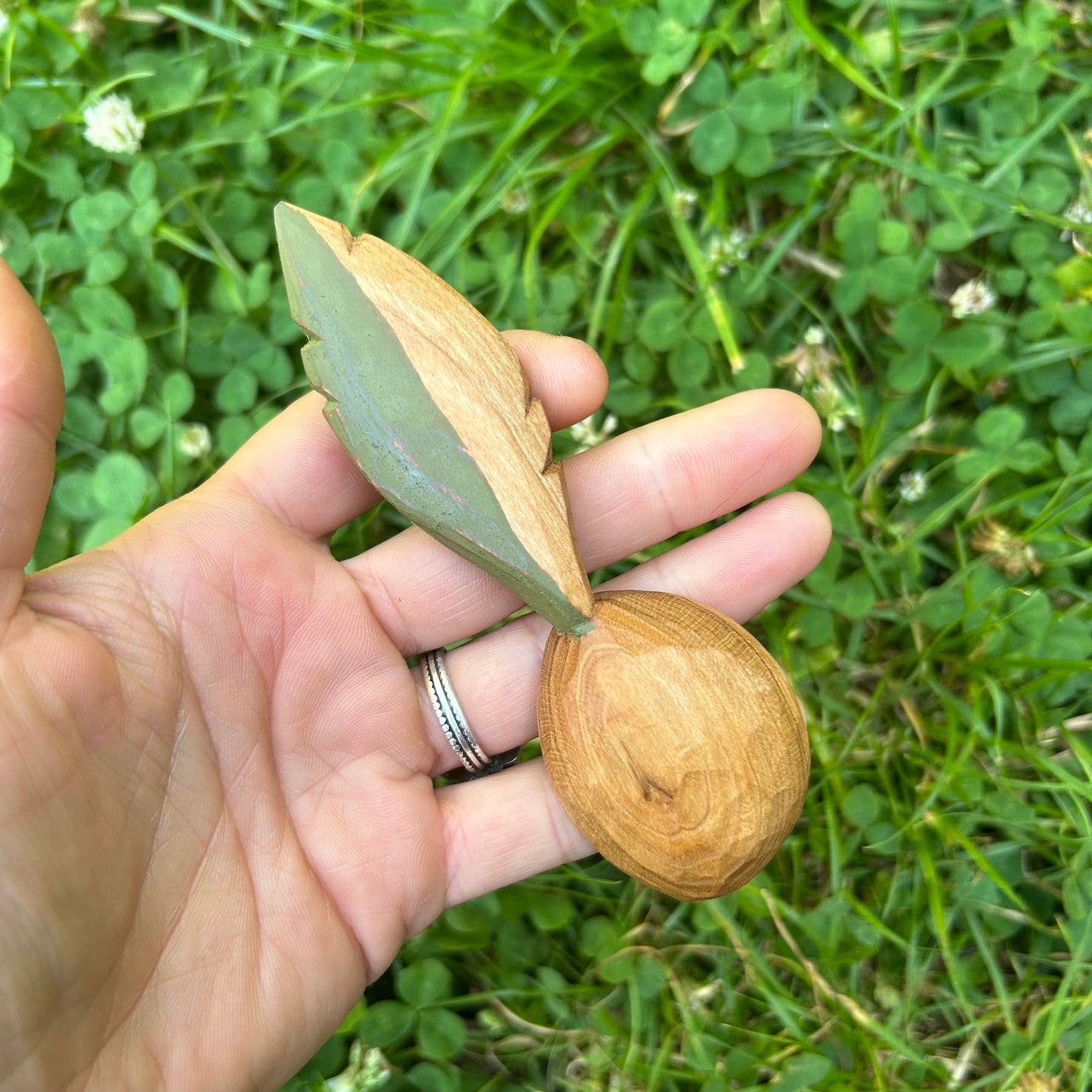 Green Feather Coffee Scoop - Cherry