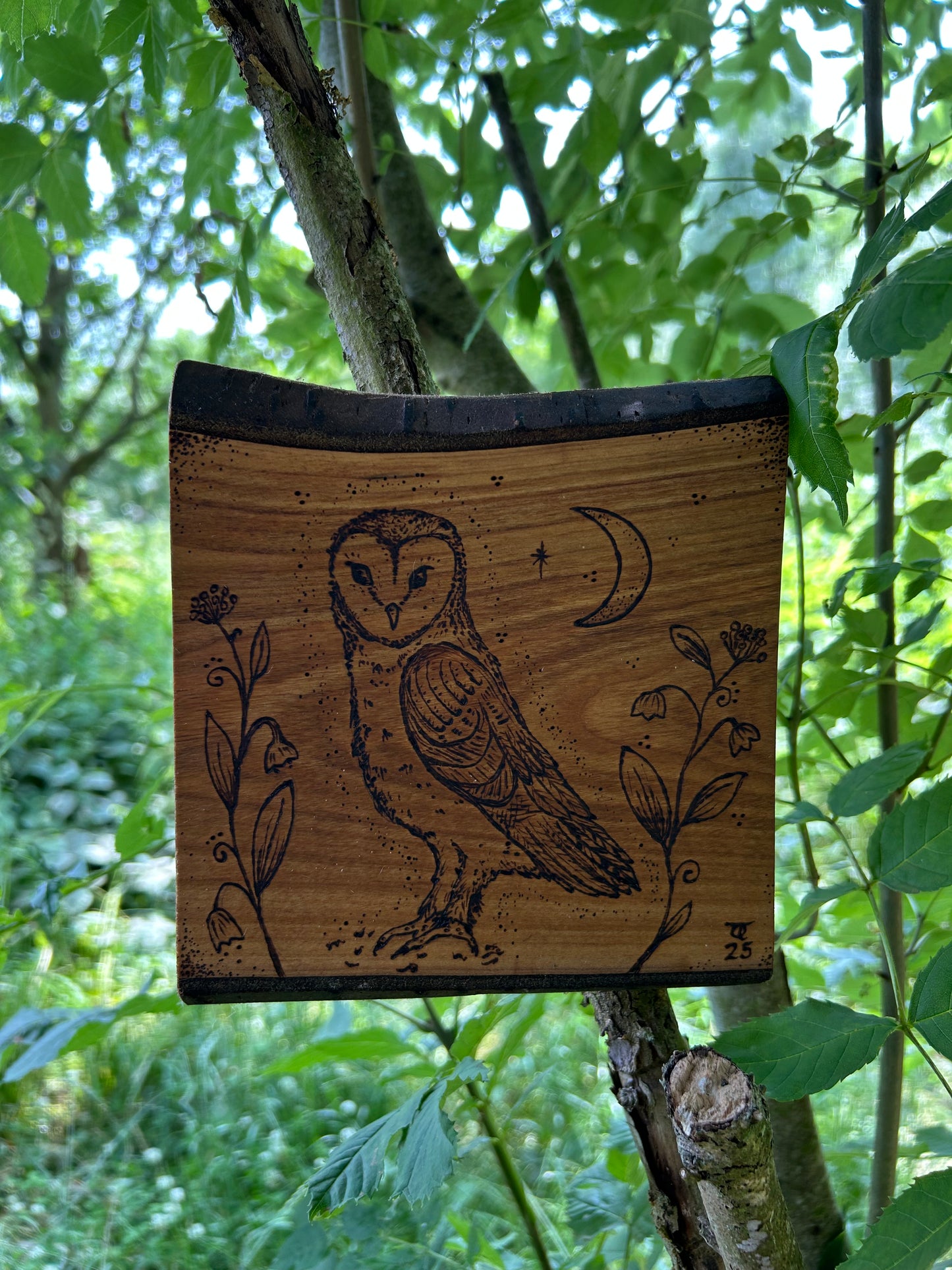 Mystic Barn Owl ~ Cherry Wood Wall Hanging