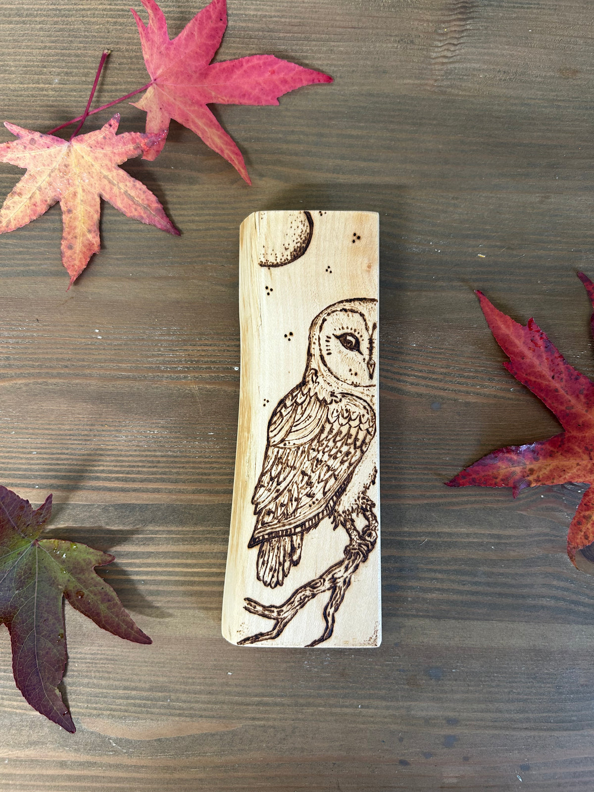 Barn Owl ~ Pyrography Mini Artwork