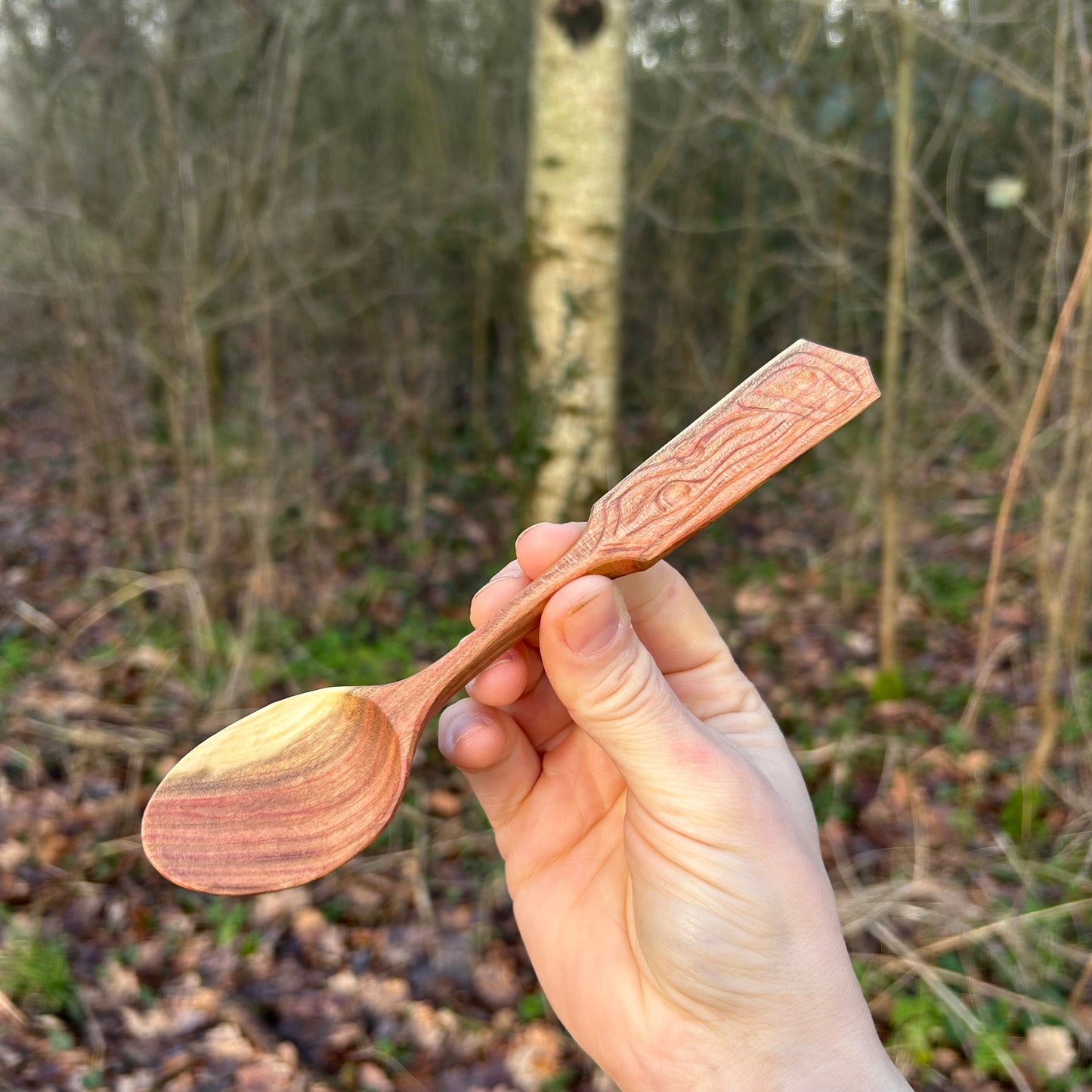 ~ Curve ~ Plum Wood ~ Eating Spoon