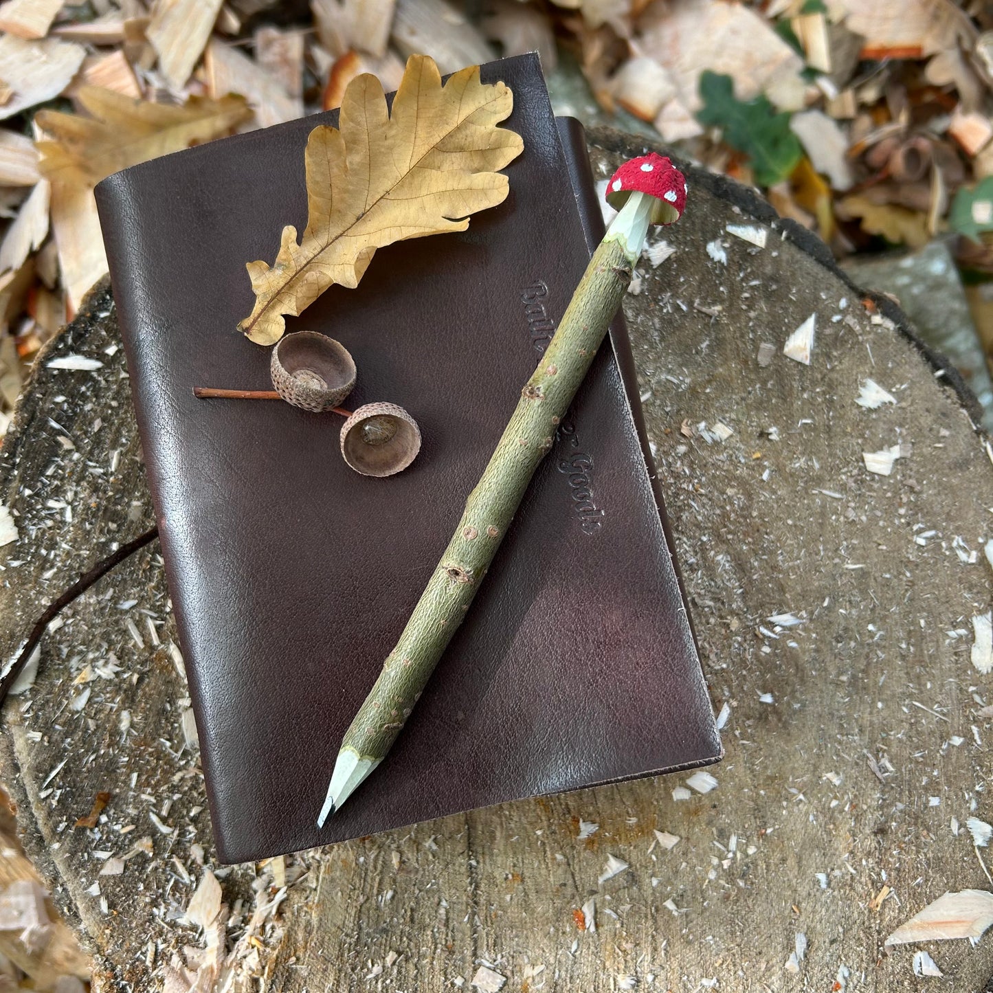 Magic Toadstool Pencils