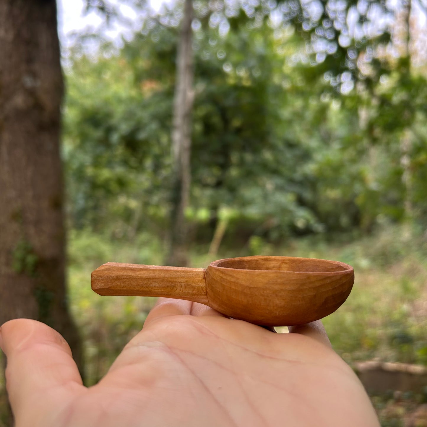 ~ Circles ~ Coffee Scoop ~ Cherry