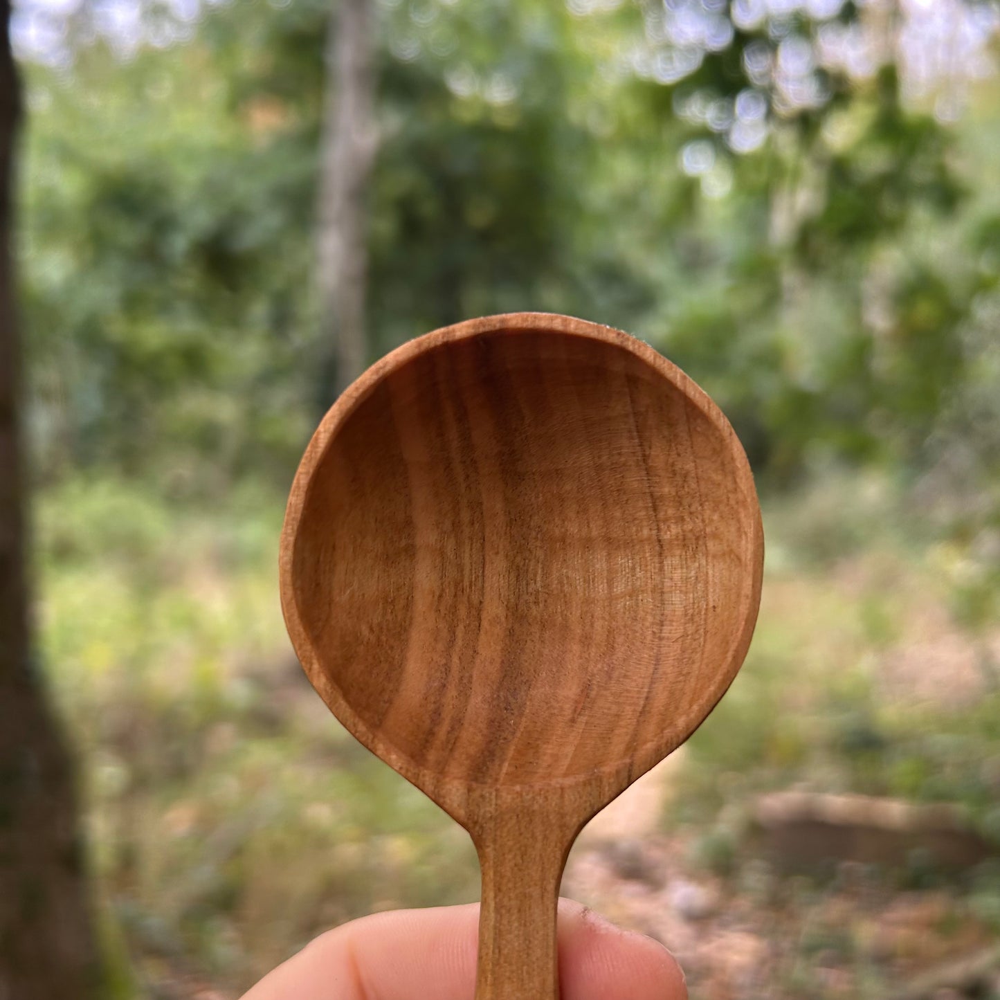 ~ Float ~ Coffee Scoop ~ Cherry