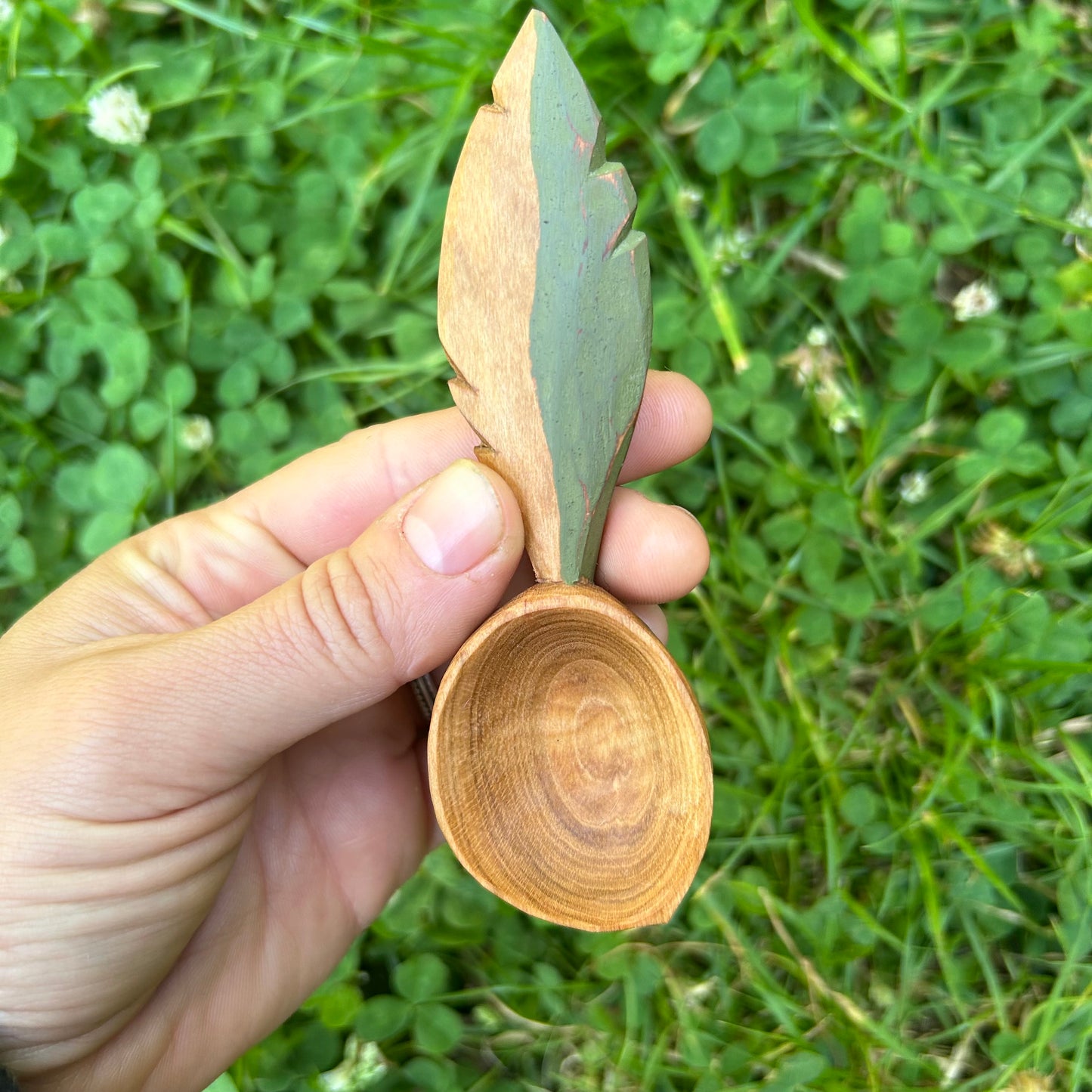 Green Feather Coffee Scoop - Cherry