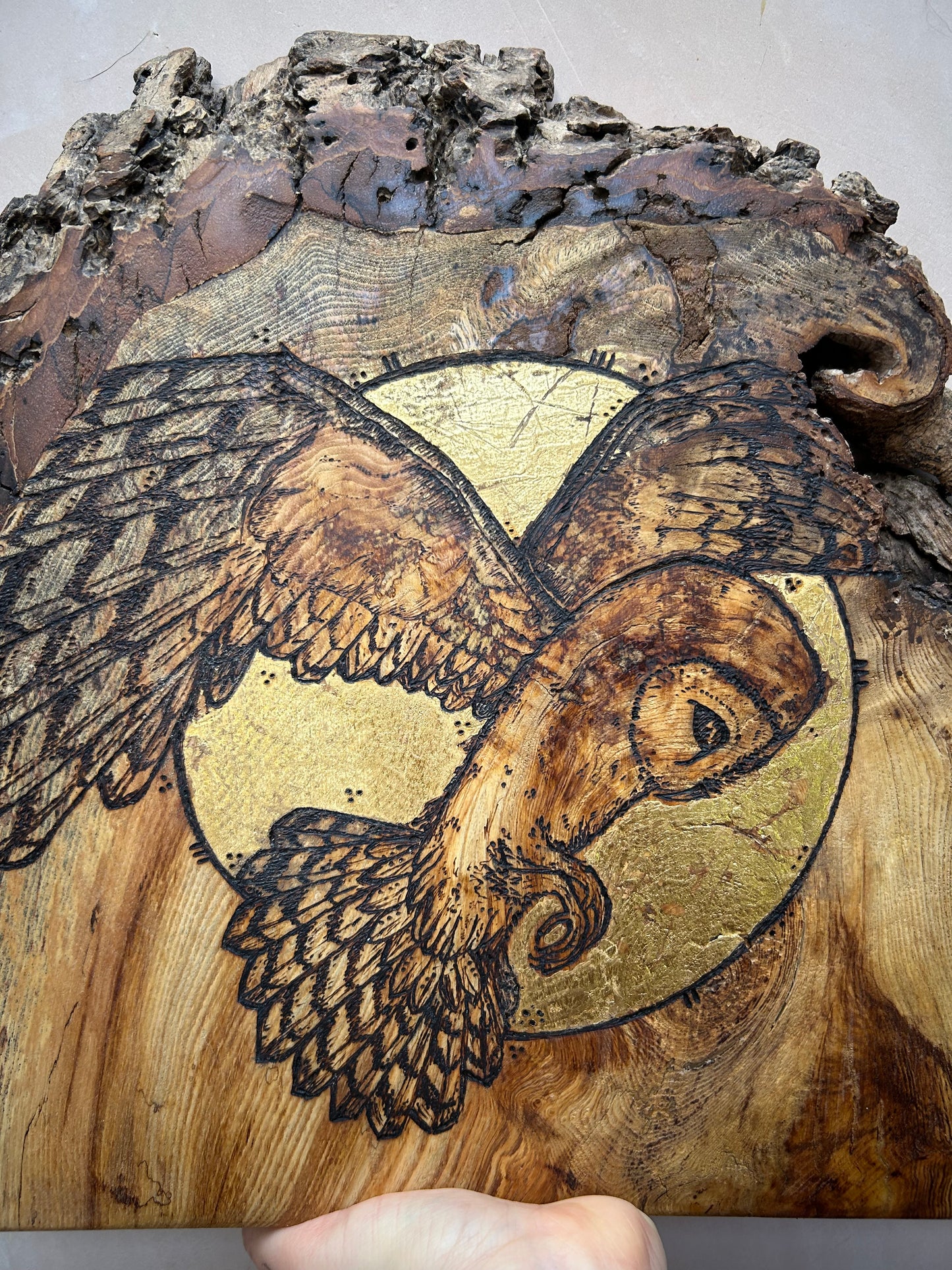 Barn Owl Moon Magic ~ Wall Hanging ~ Spalted Ash