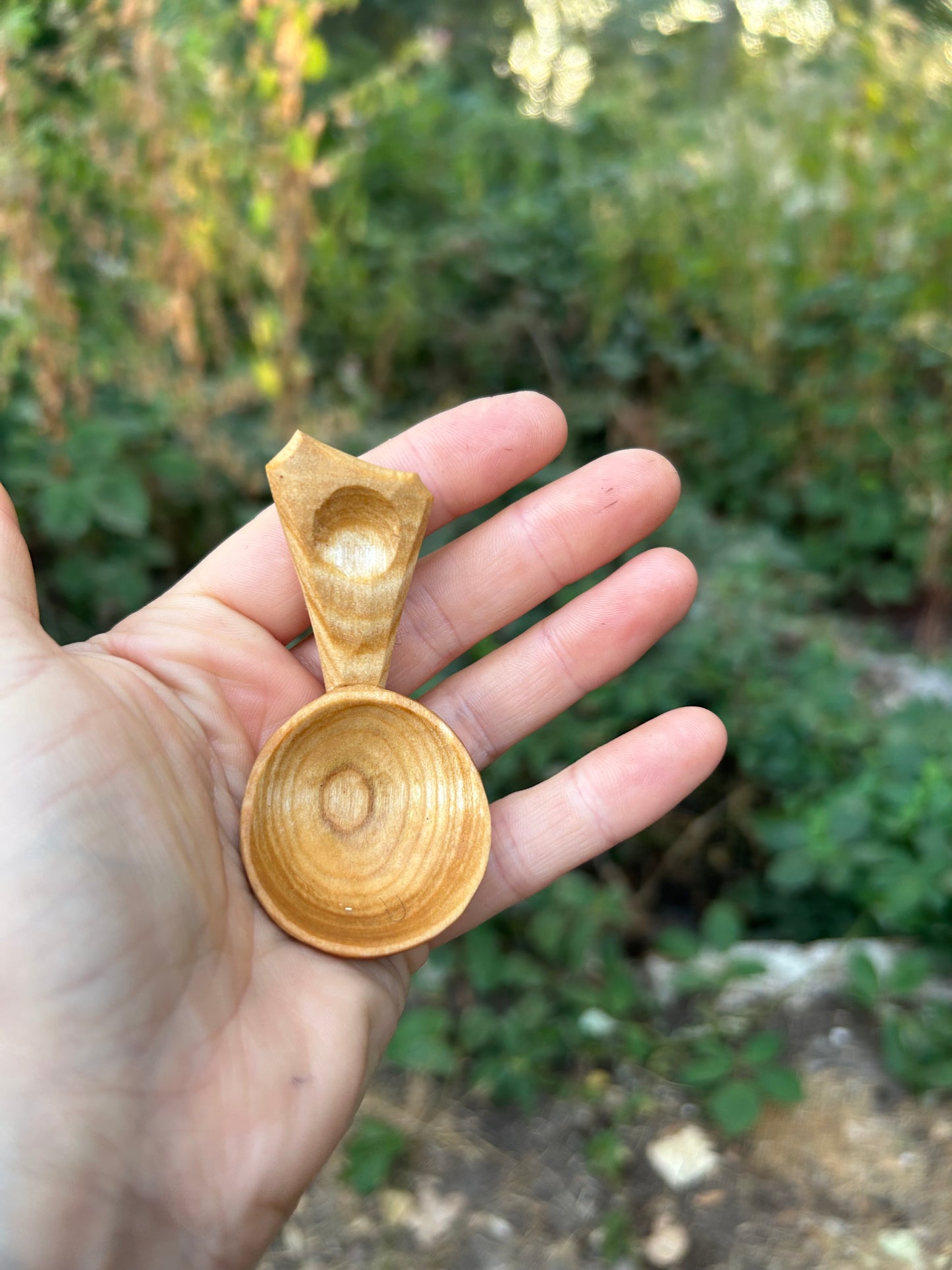 Circles ~ Caddy Spoon ~ Cherry Wood