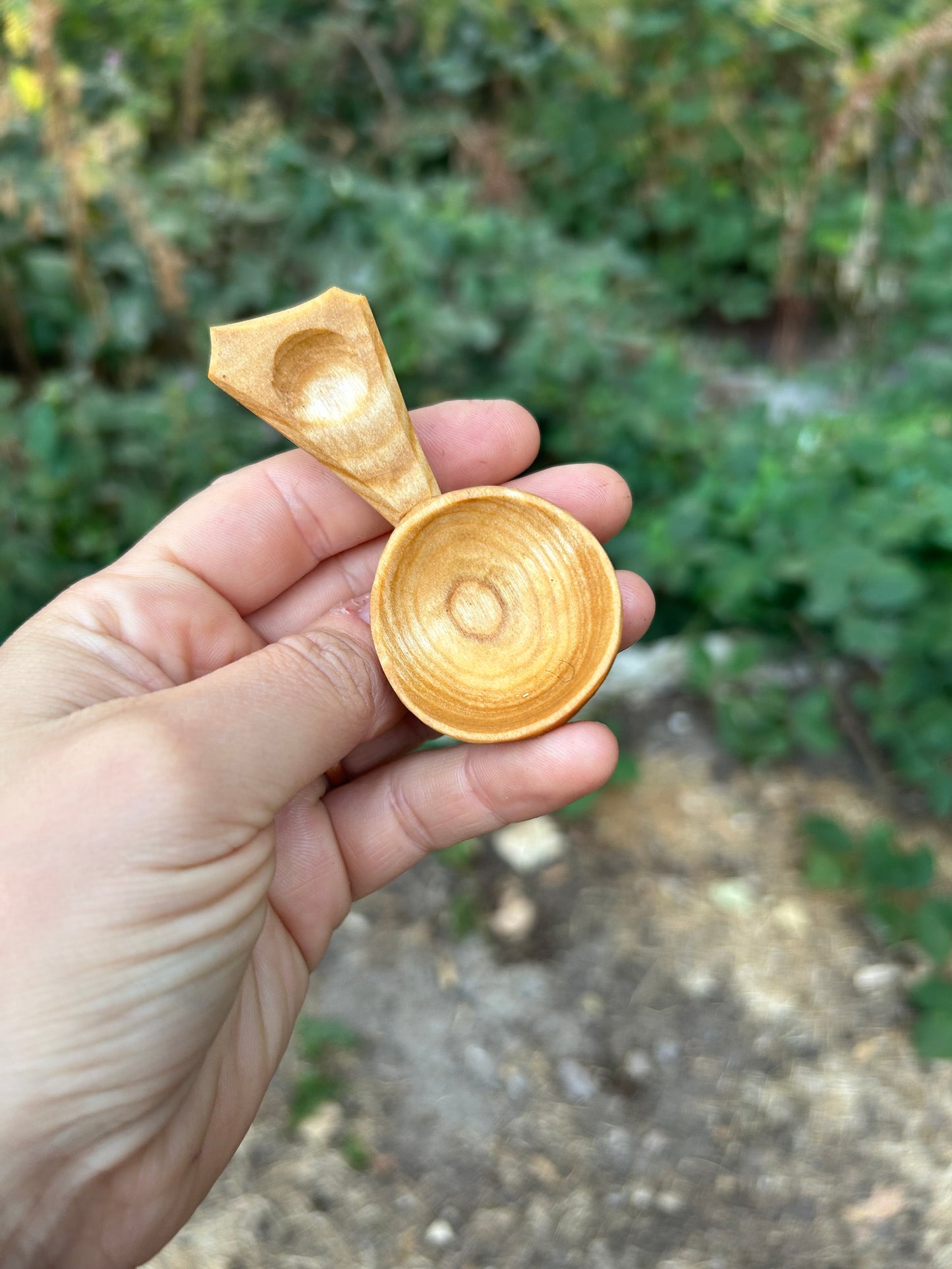 Circles ~ Caddy Spoon ~ Cherry Wood