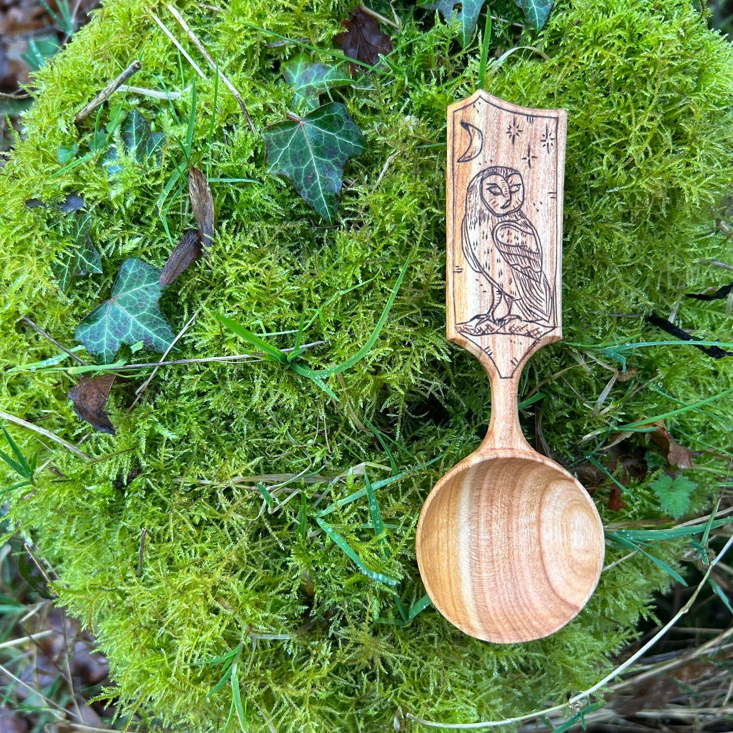 Moonlit Barn Owl ~ Scoop ~ Cherry Wood