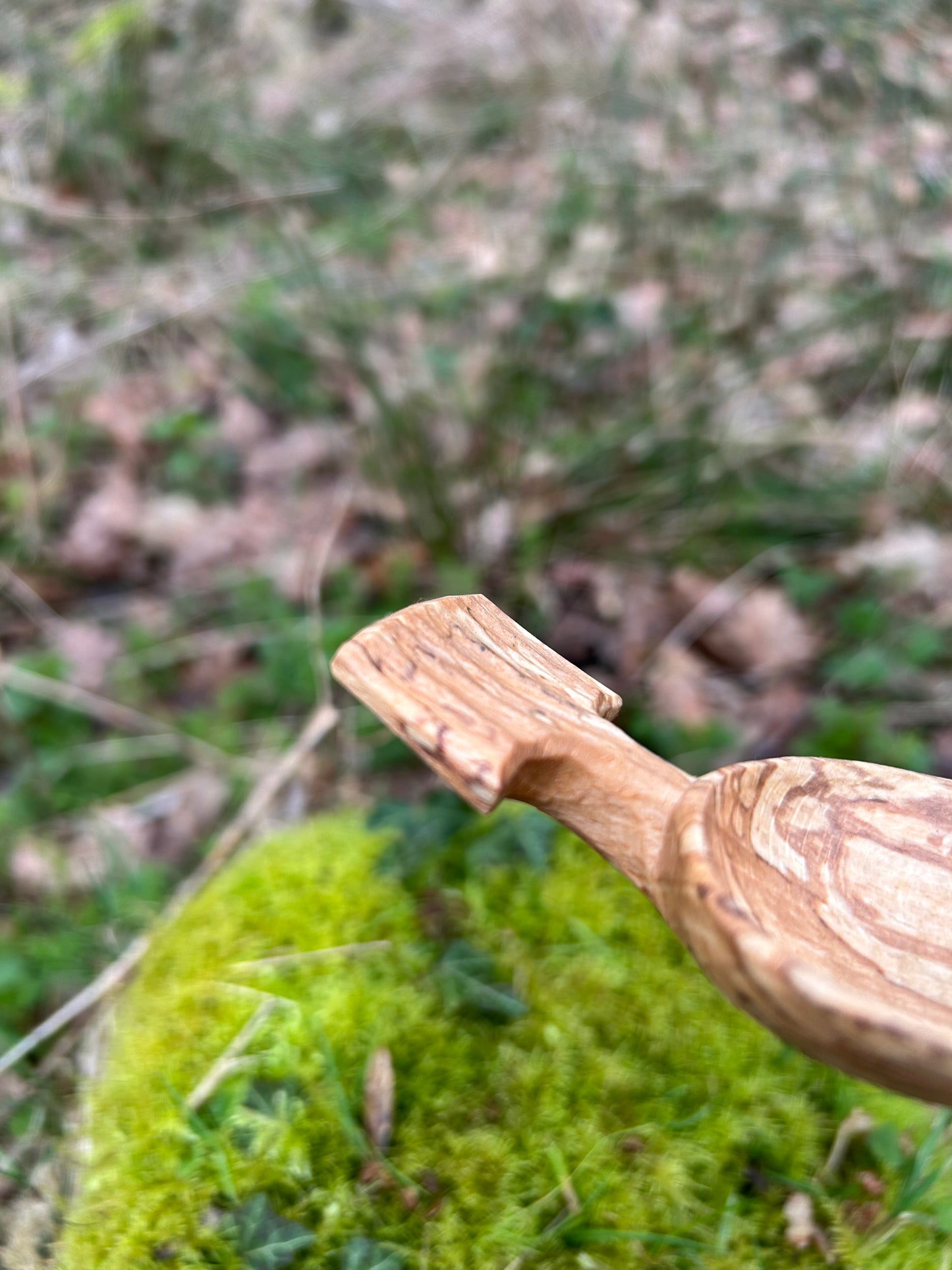 Fawn ~ Scoop ~ Spalted Beech