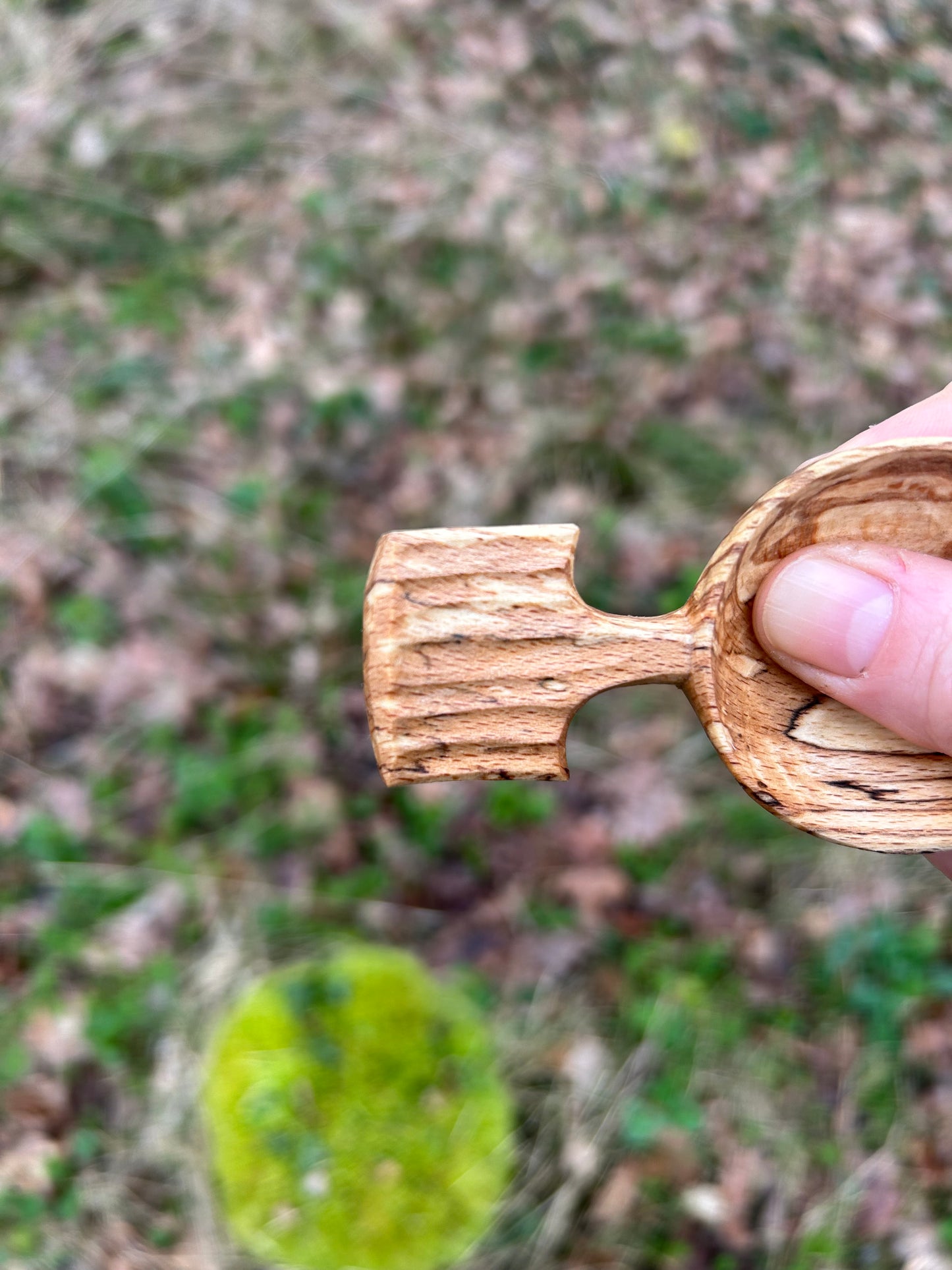 Fawn ~ Scoop ~ Spalted Beech