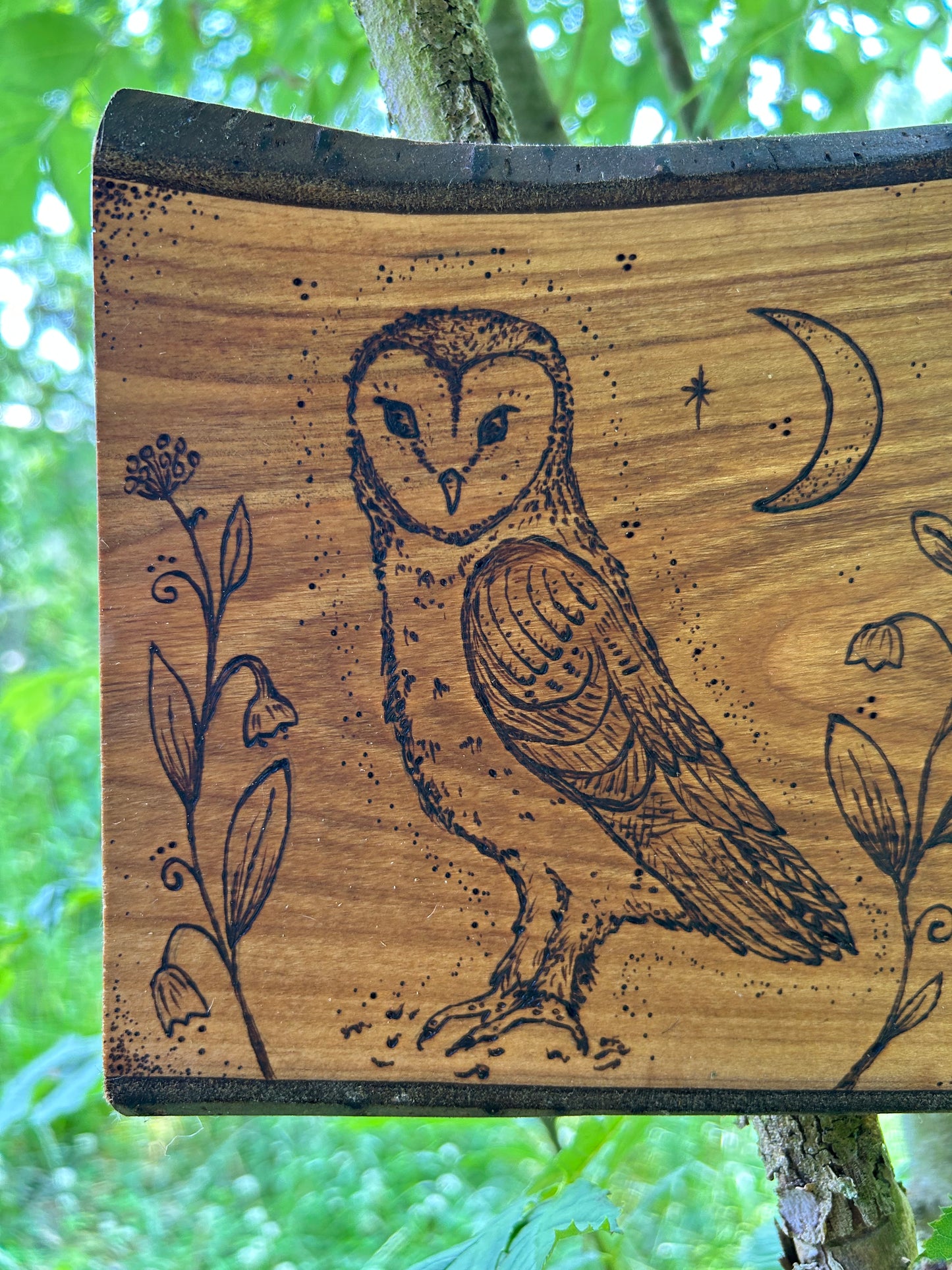 Mystic Barn Owl ~ Cherry Wood Wall Hanging
