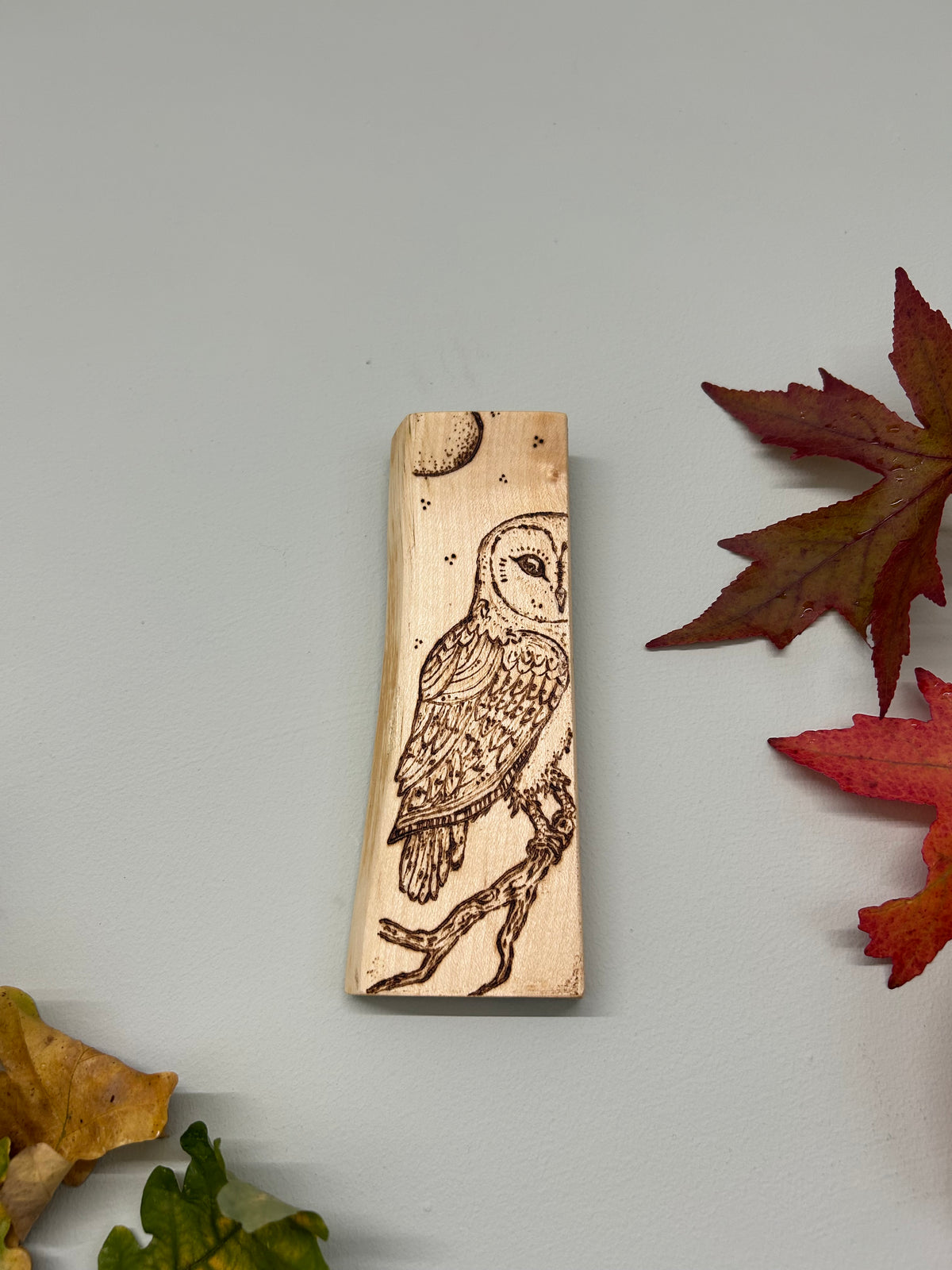 Barn Owl ~ Pyrography Mini Artwork