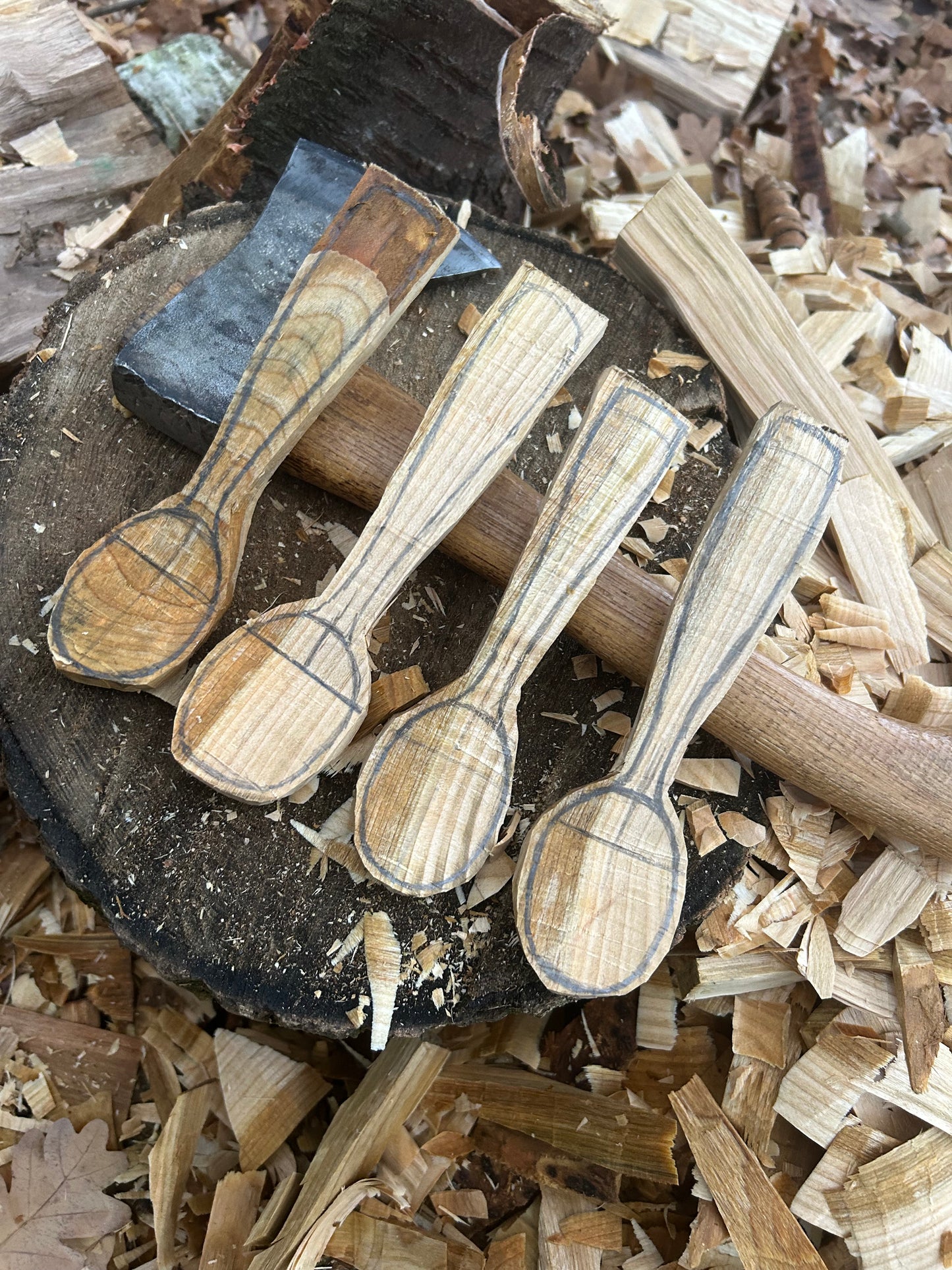 Spoon Carving Kits